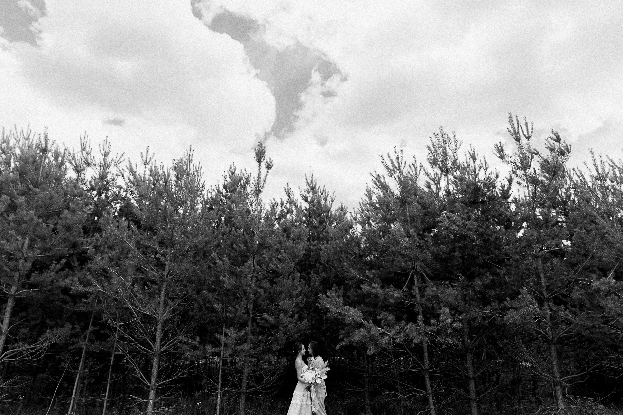 Toosie. Свадебный фотограф в Москве Владимир Барабанов