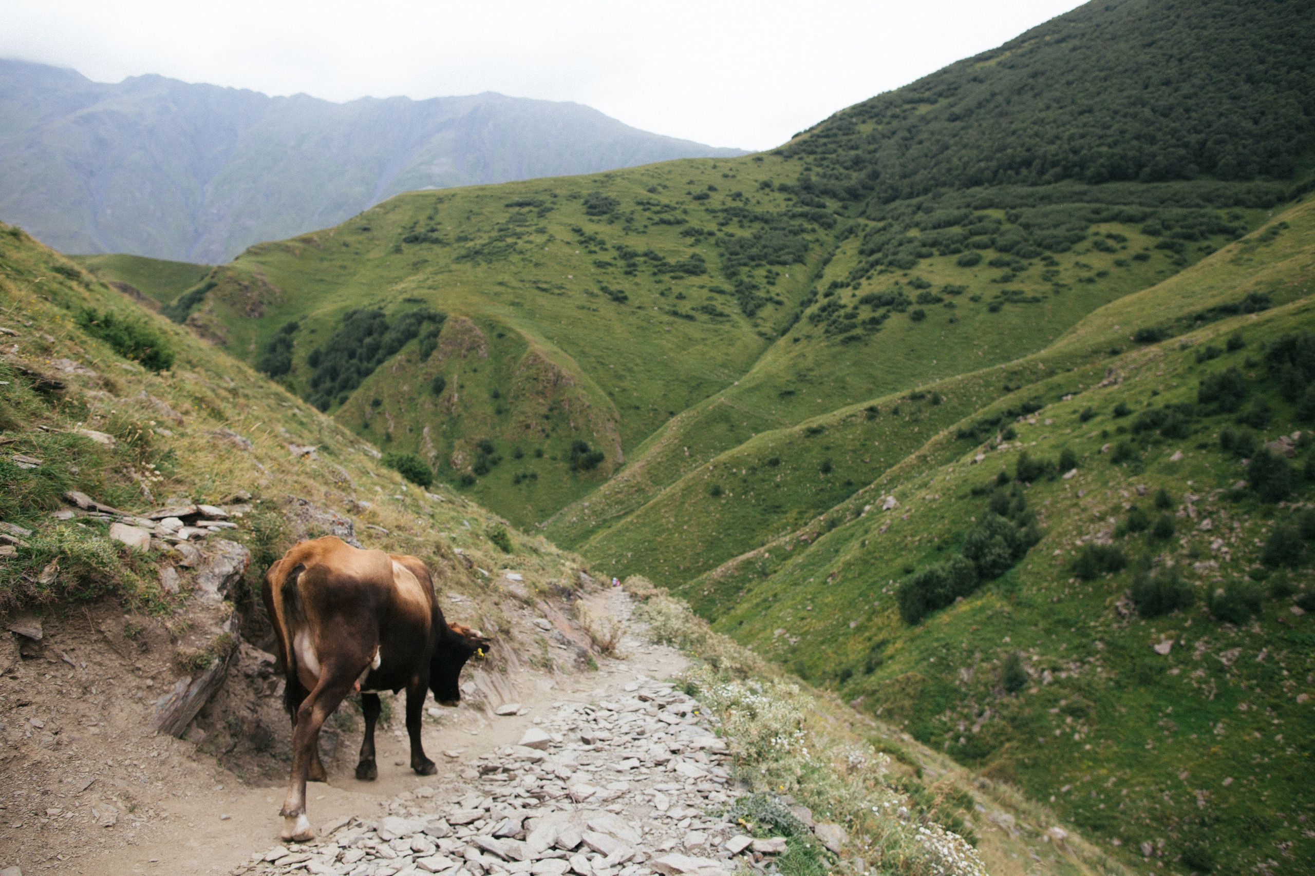 Po adzharski. Свадебный фотограф в Москве Владимир Барабанов