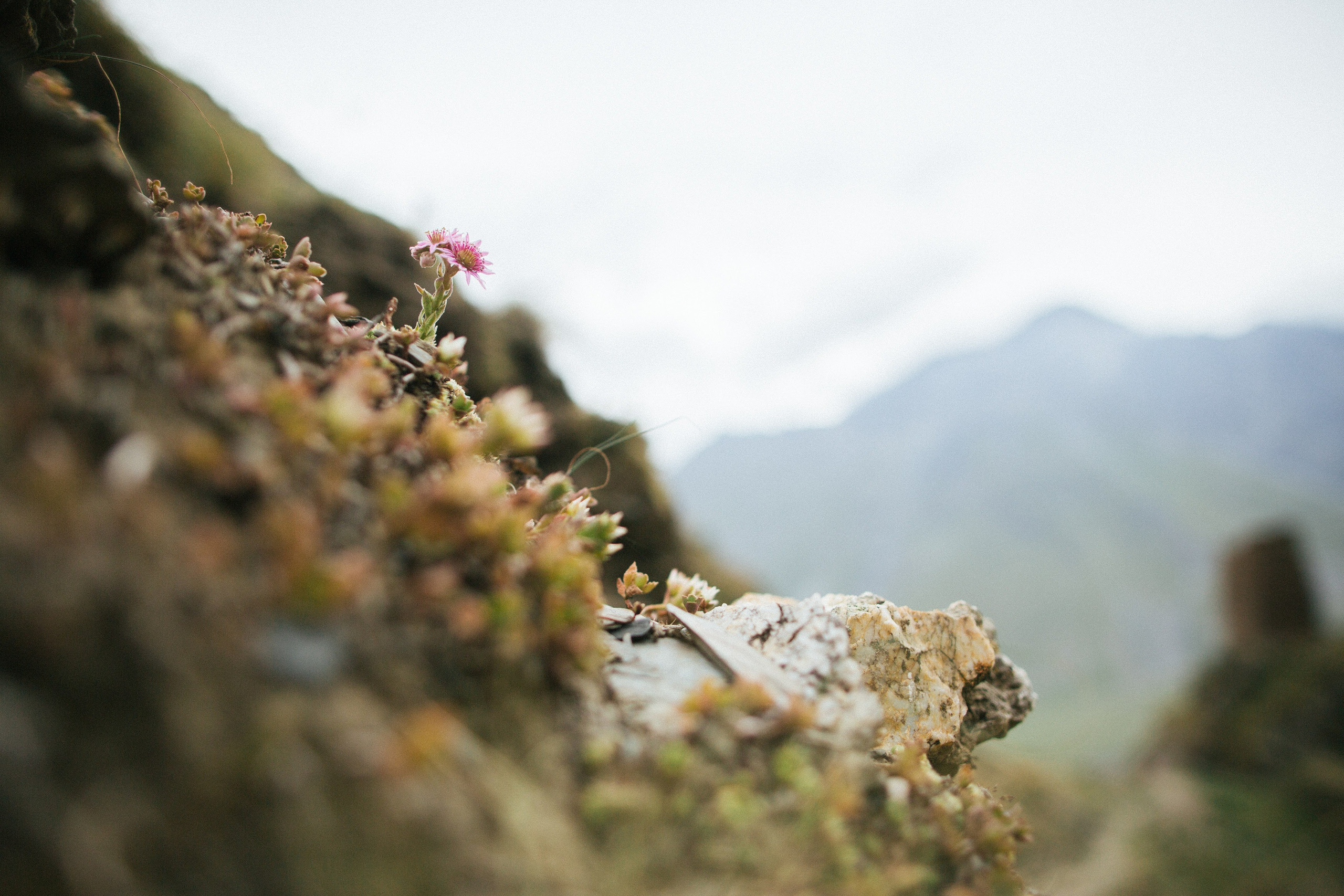 Po adzharski. Свадебный фотограф в Москве Владимир Барабанов