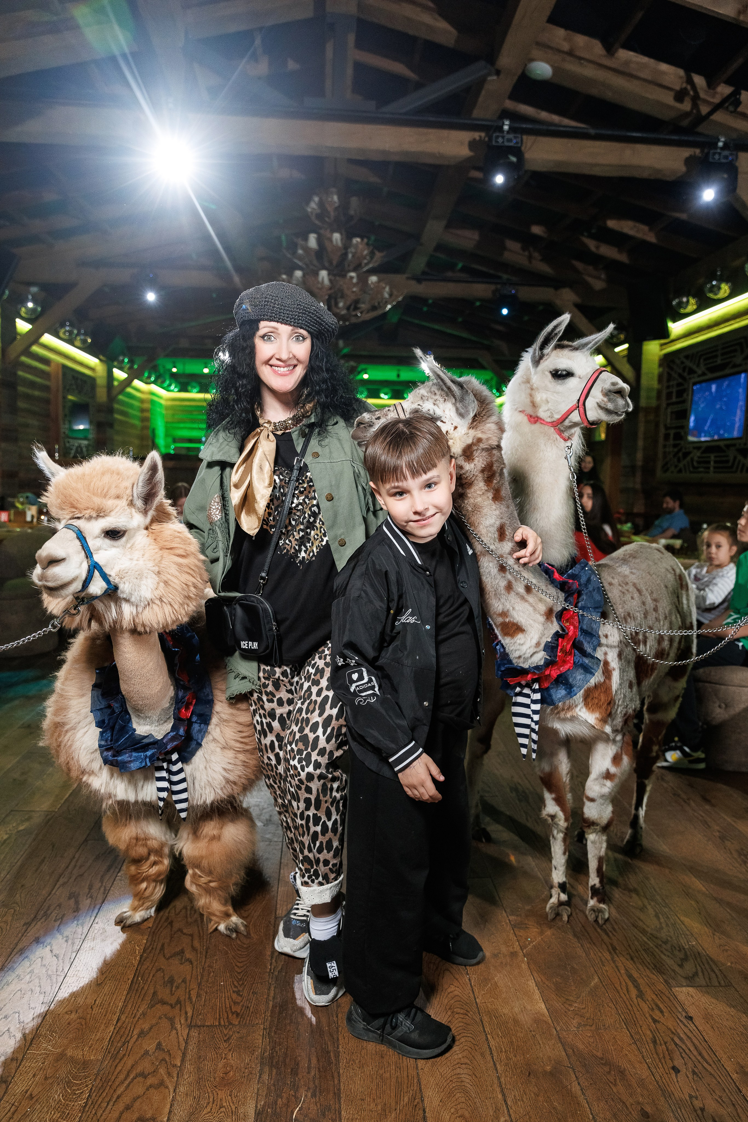 Лама и Альпака