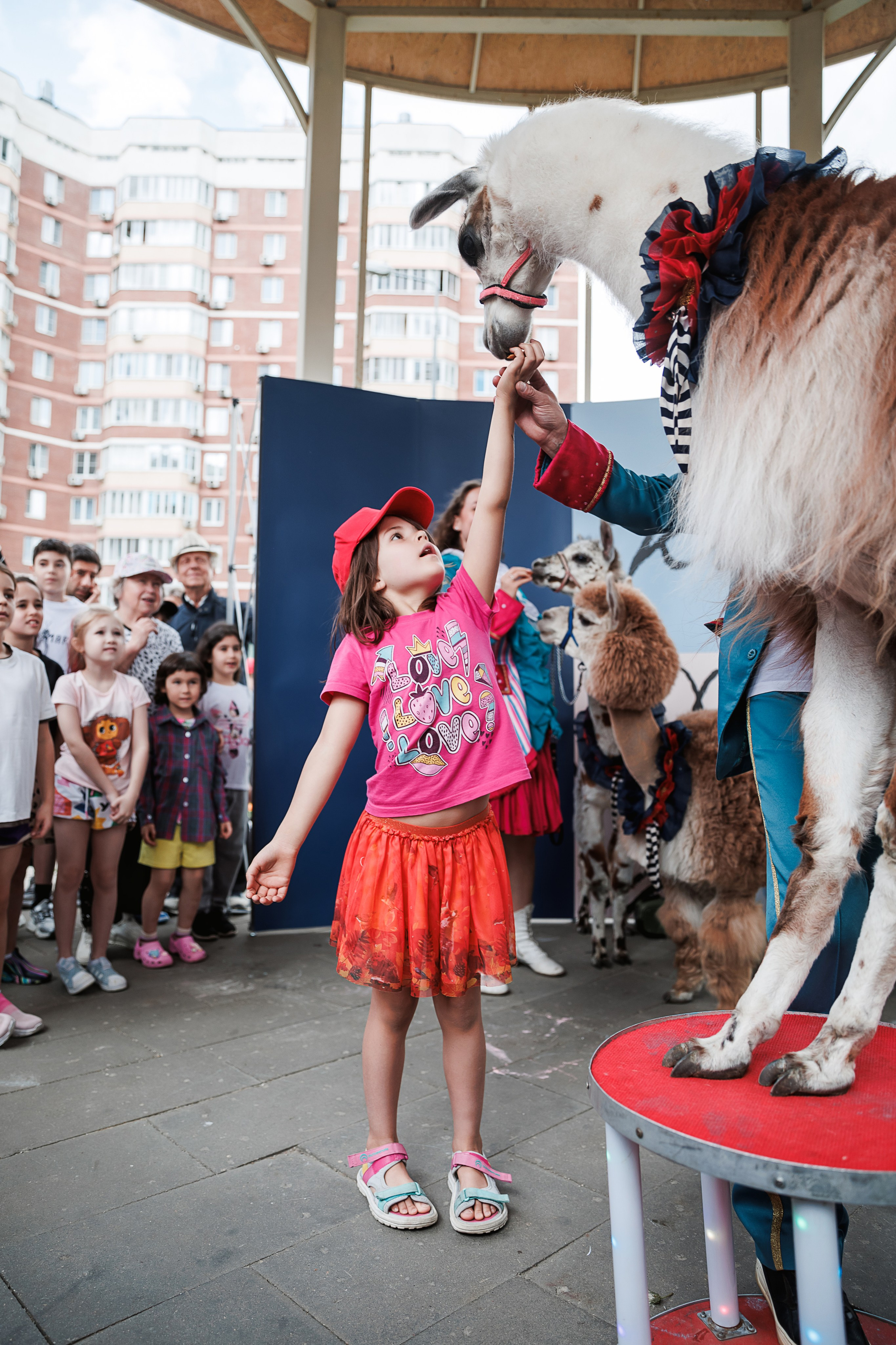 Фотограф на детское день рождения. Москва и Московская область. Репортажный Фотограф Александр Назаров. Москва и М.О