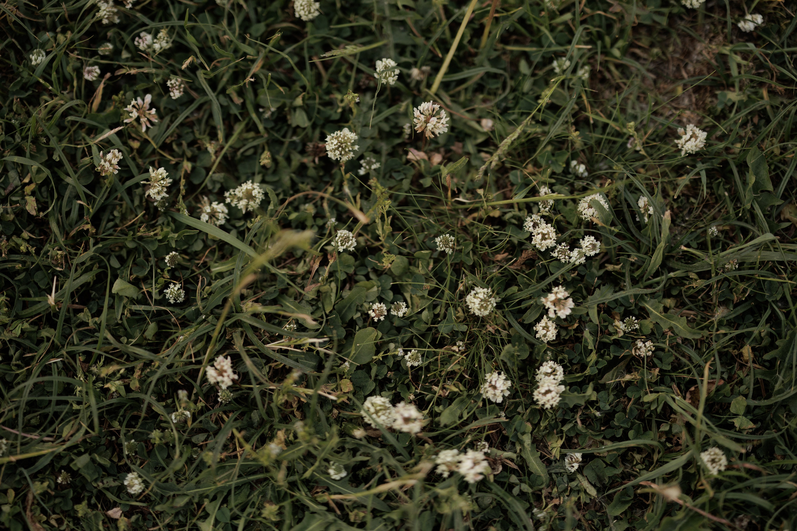 Целуй руками, обнимай губами. Свадебный фотограф в Москве | Профессиональный фотограф | Выгодные цены на услуги