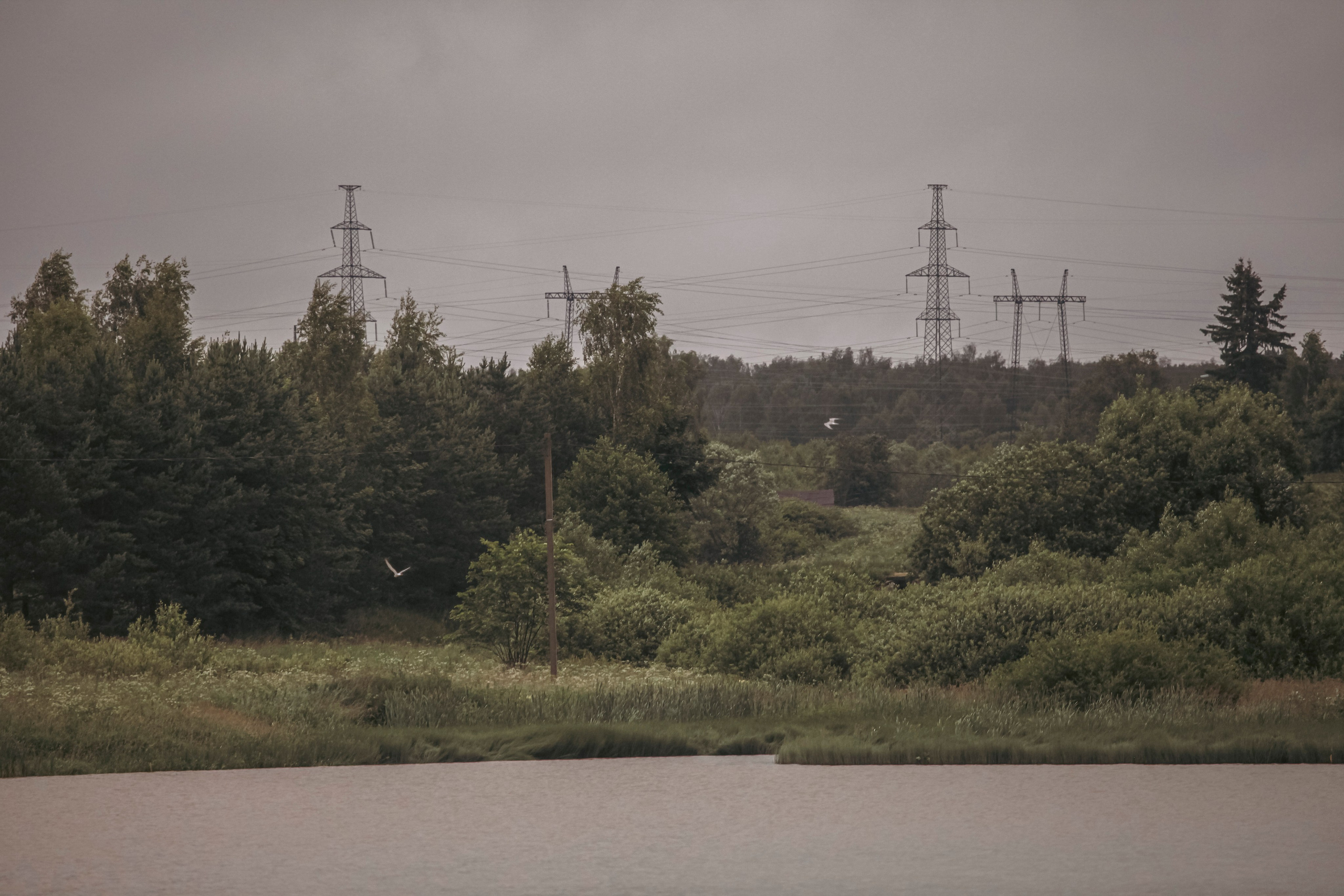 Тихая заводь. Чеховский район. Фотограф для маркетплейсов, фотоуслуги в Жуковском Татьяна Марсуверских
