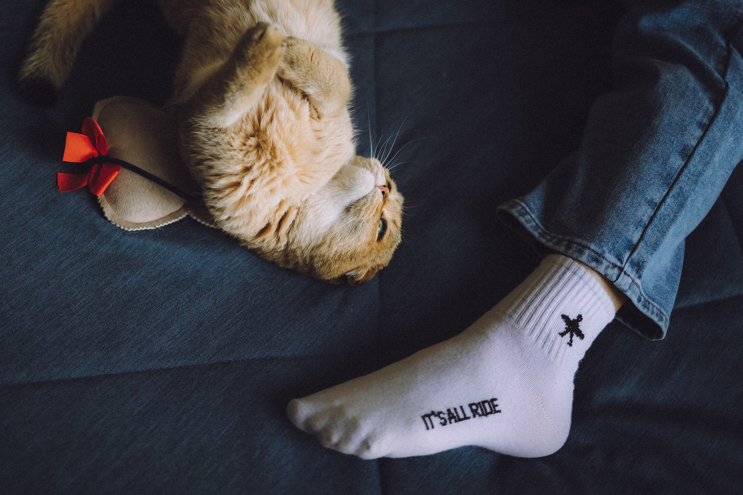 Генри и его семья