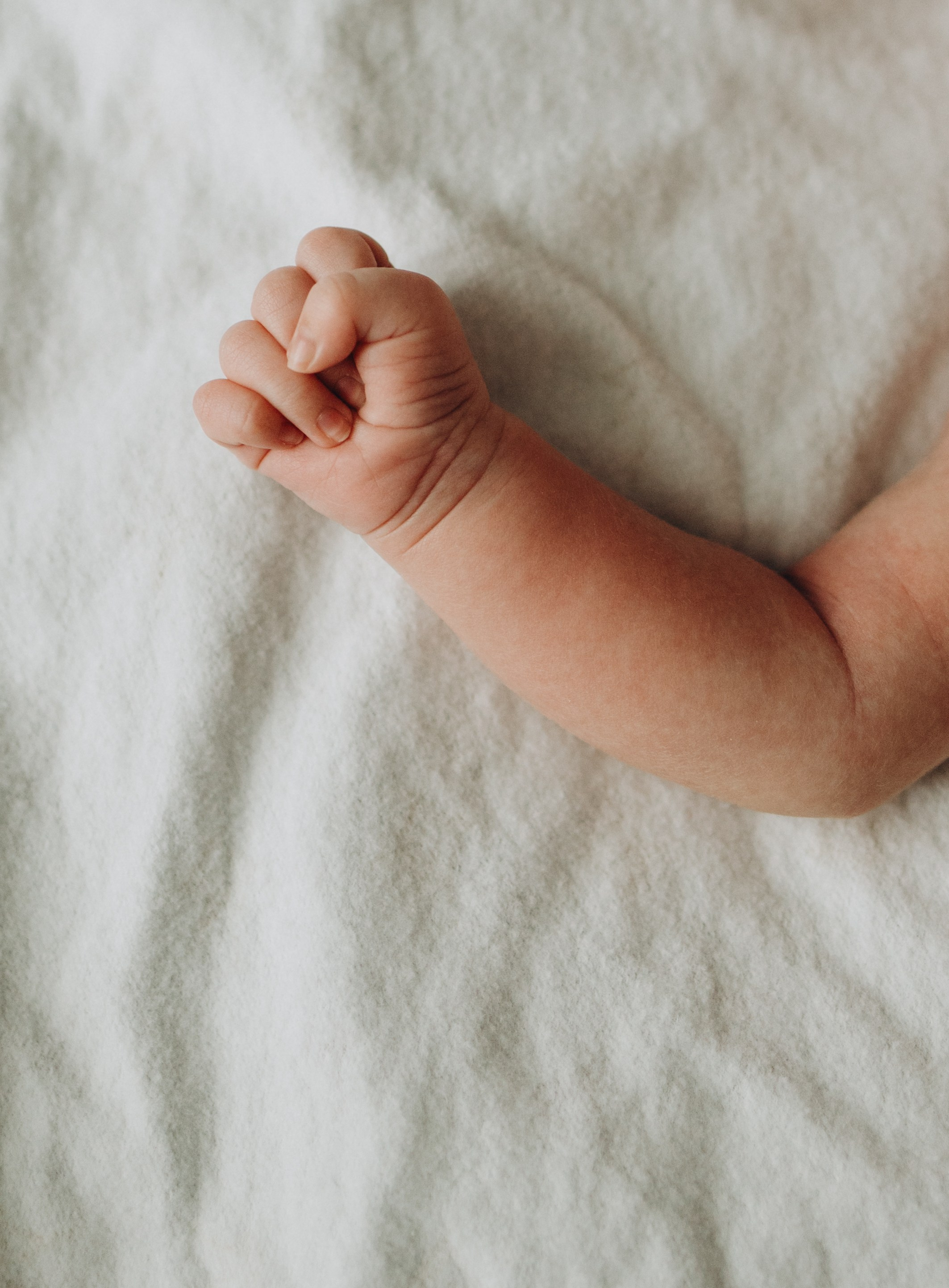 Домашние. Семейный фотограф и видеограф Наумова Анна