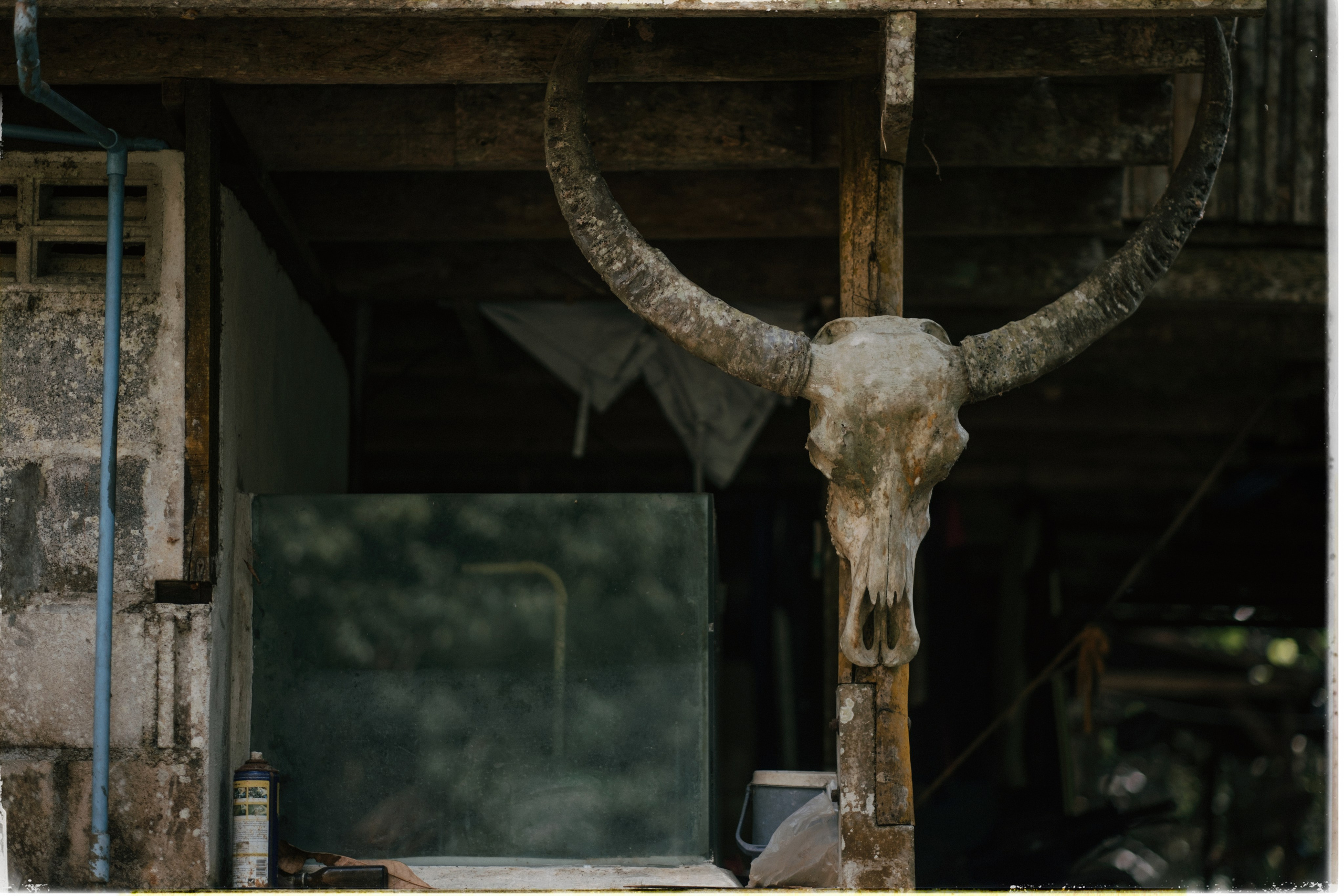 Таиланд. Портретный и репортажный фотограф в Санкт-Петербурге Дарья Сибирякова