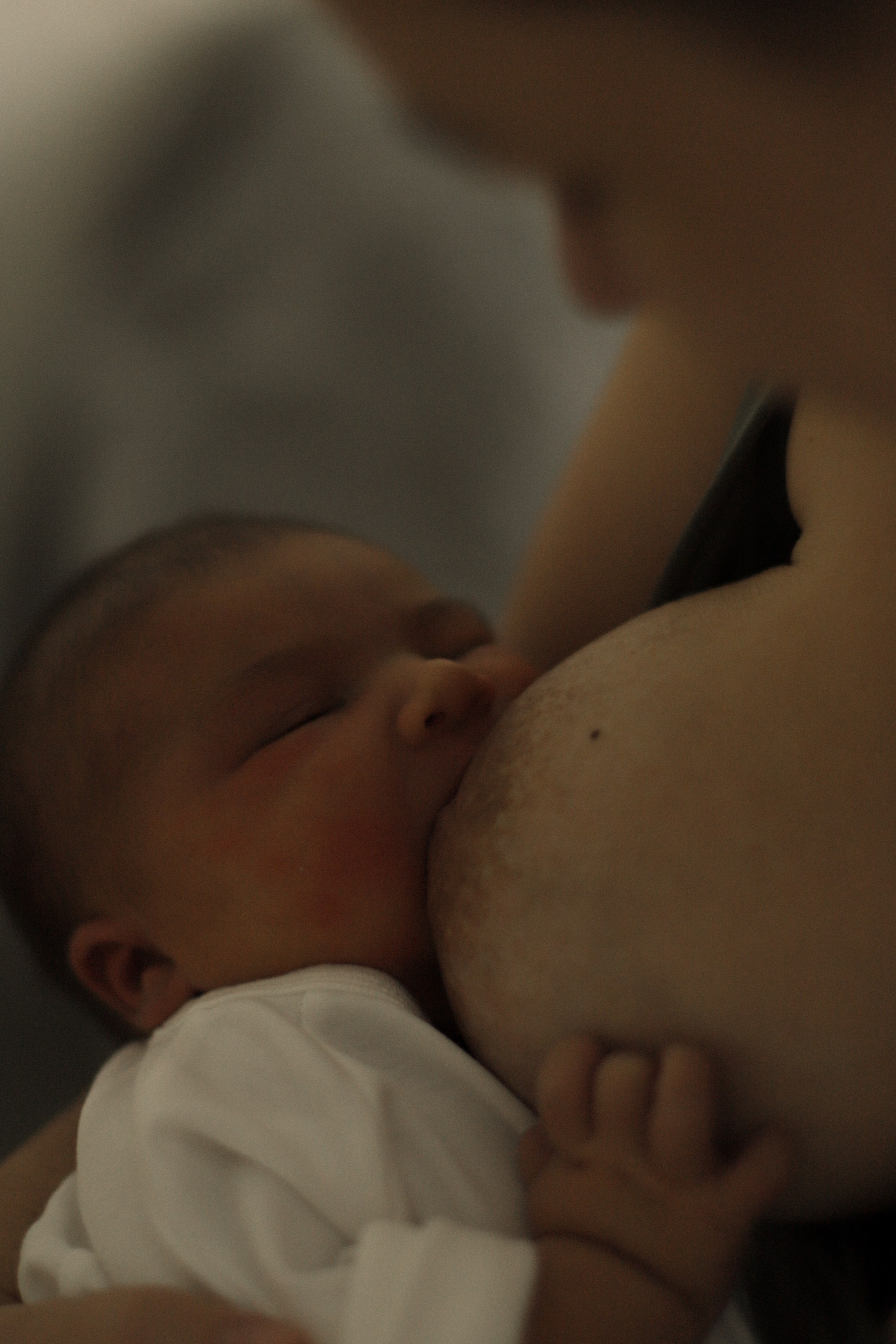 Лена, Дима и Алиса. Семейный и женский фотограф в Сургуте Елизавета Набок