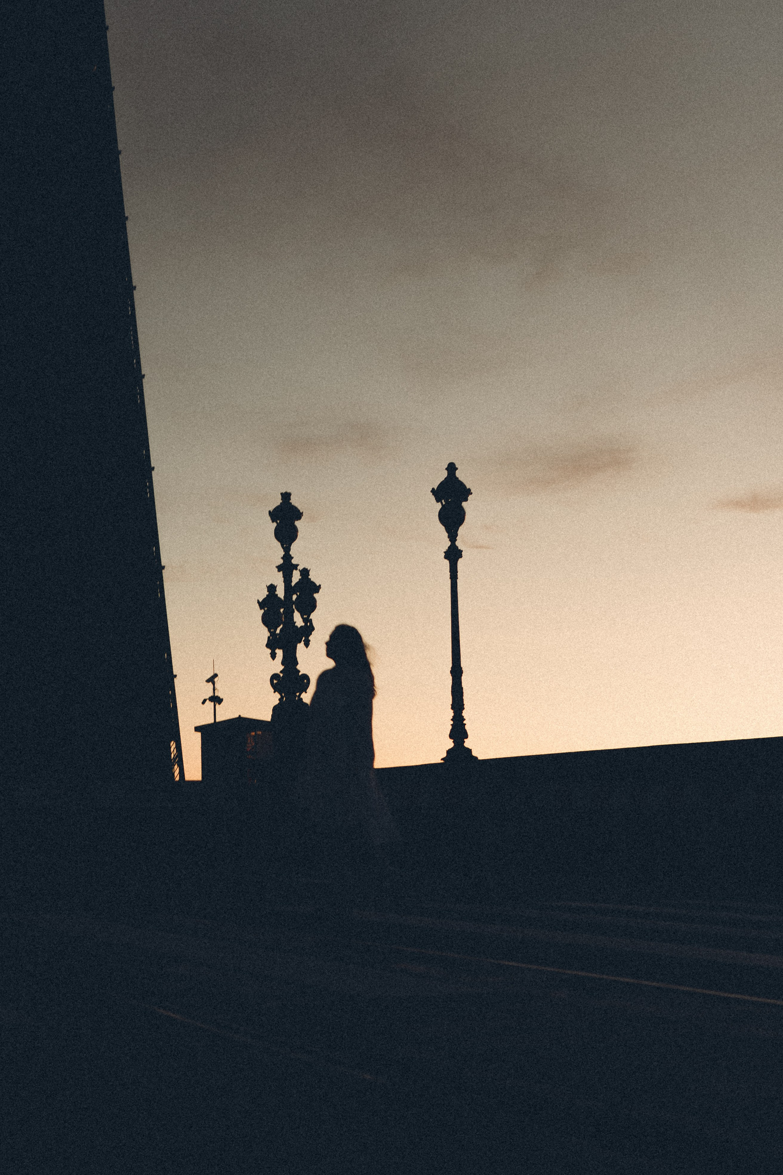 РАССВЕТ С РАЗВОДНЫМИ МОСТАМИ. Профессиональный фотограф, Санкт-Петербург — Виктория Богомолова