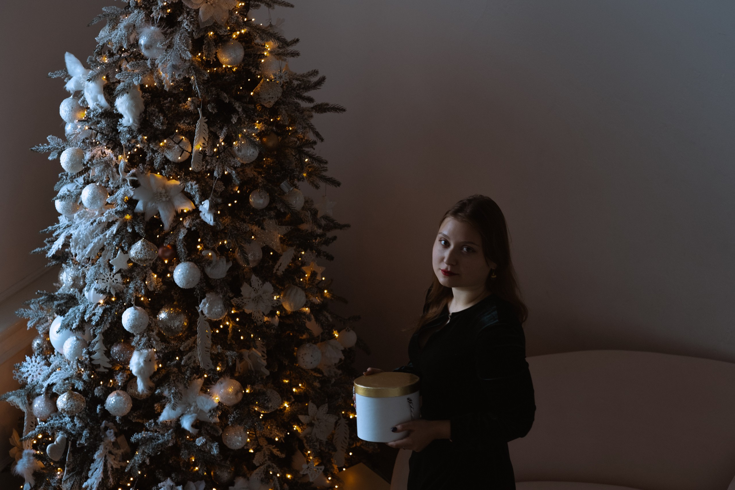 Новогодний стиль. Профессиональный фотограф, Санкт-Петербург — Виктория Богомолова