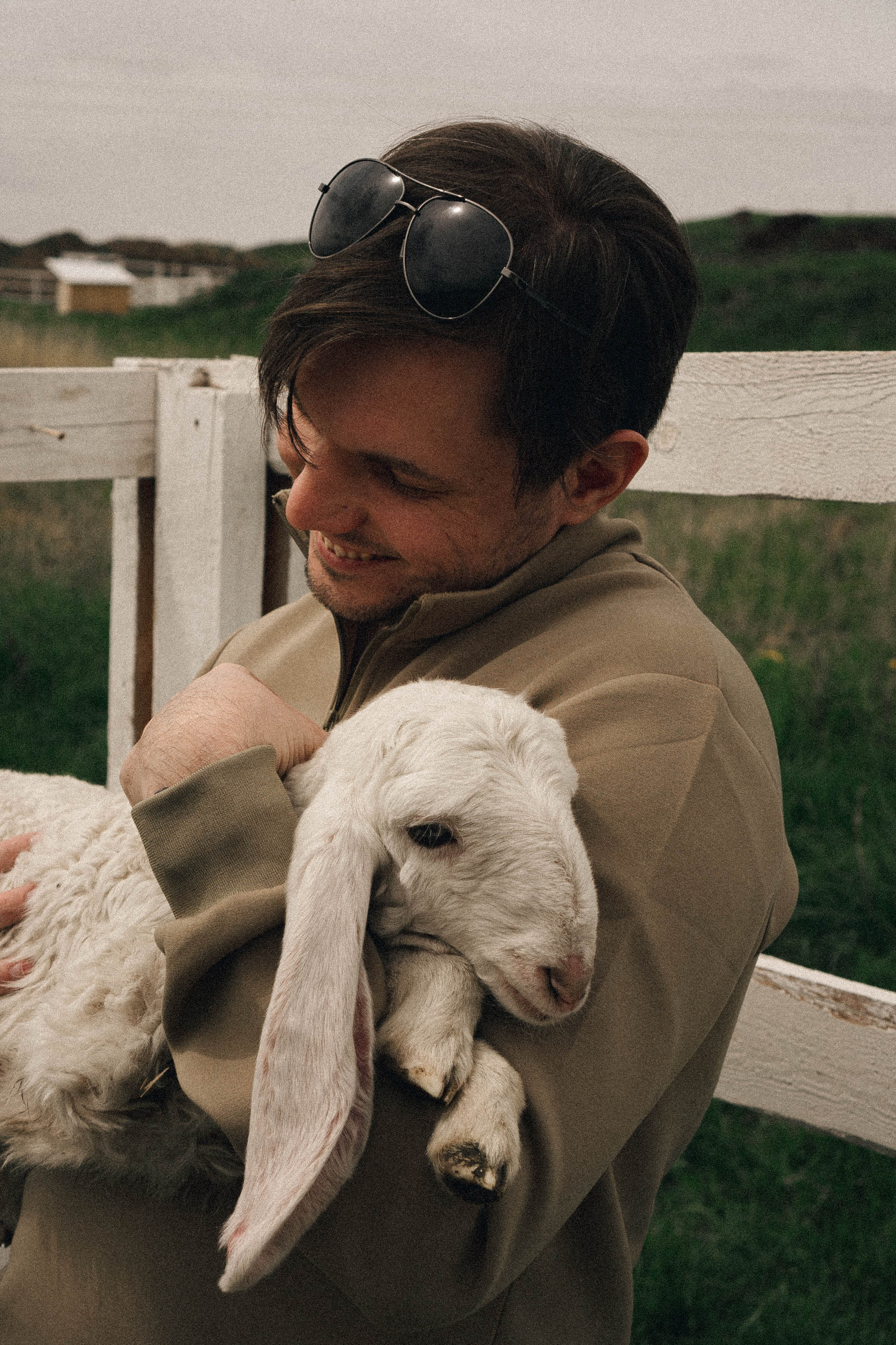 Ферма Альпак. Профессиональный фотограф, Санкт-Петербург — Виктория Богомолова