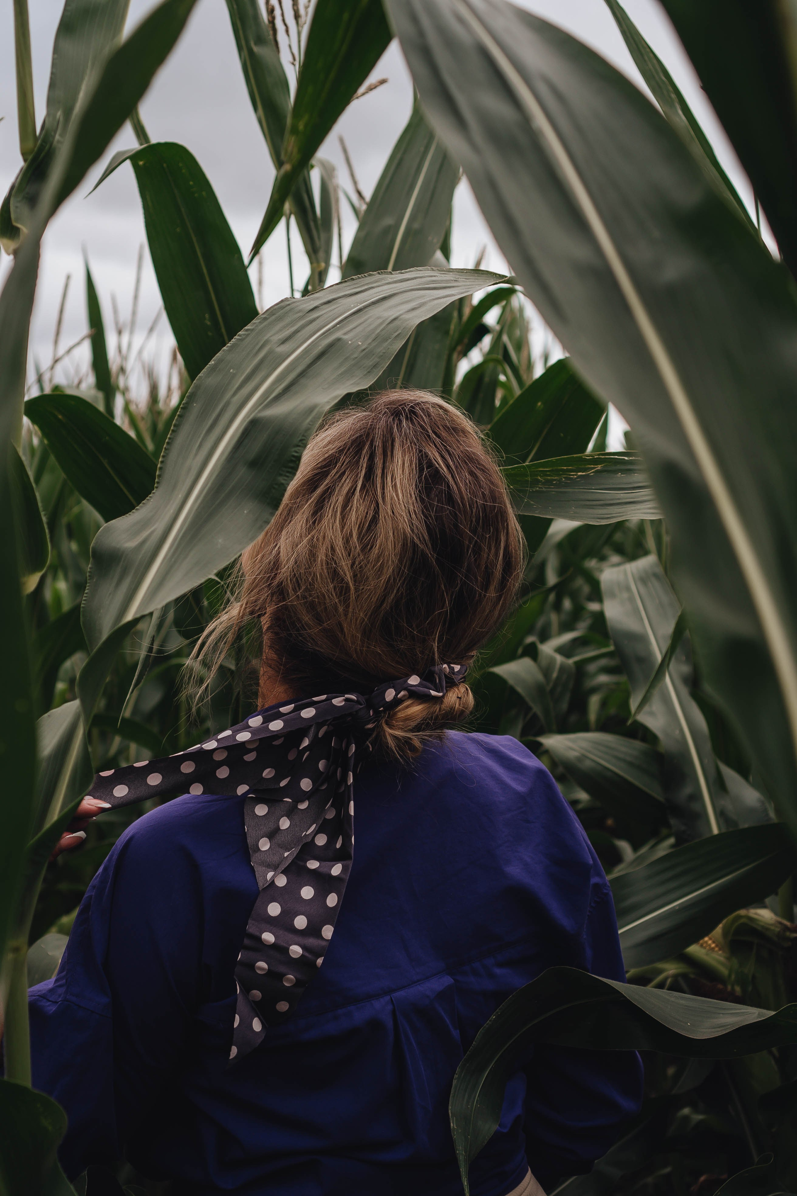 Фотосессия в поле. Профессиональный фотограф, Санкт-Петербург — Виктория Богомолова
