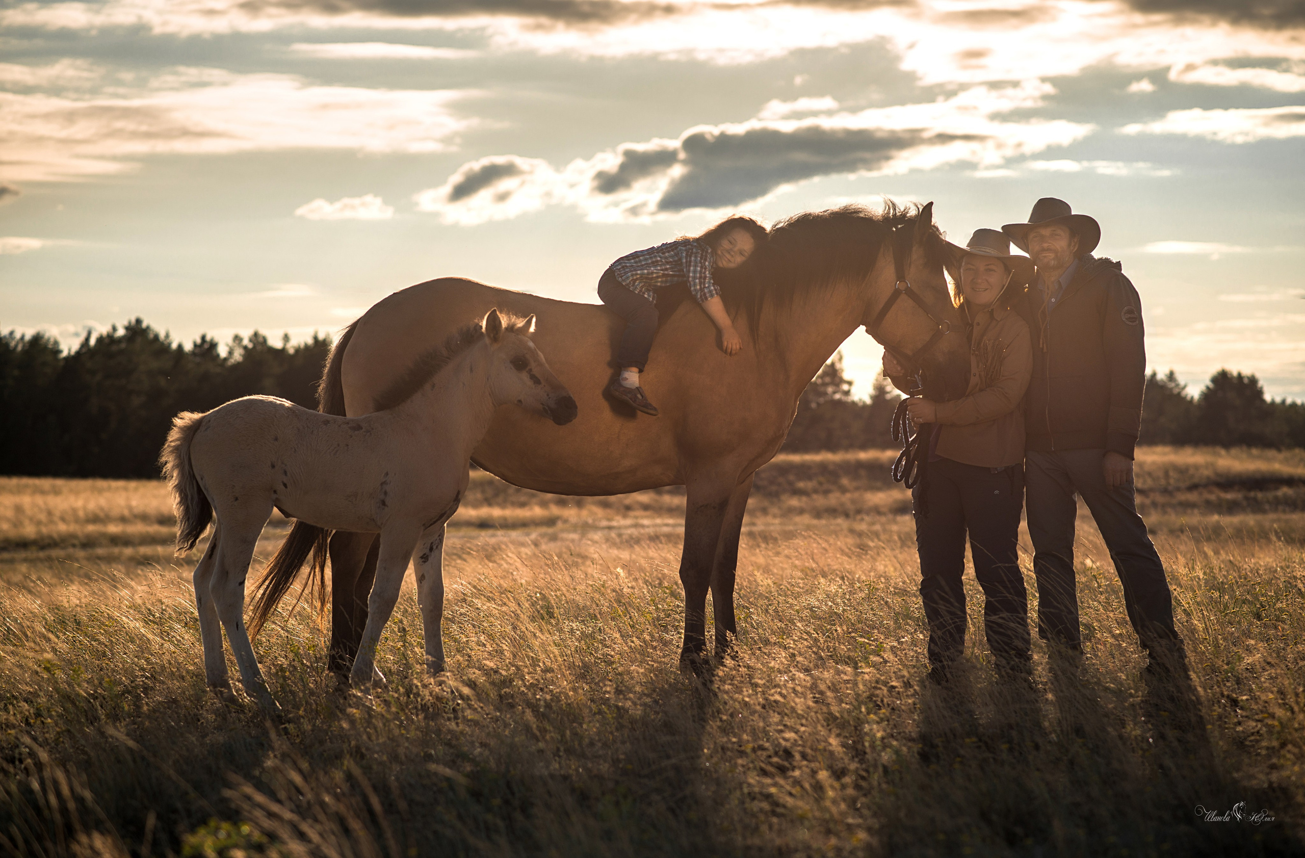 Семья Василия и Натальи. Конный фотограф в Саратове Юлия Иванова