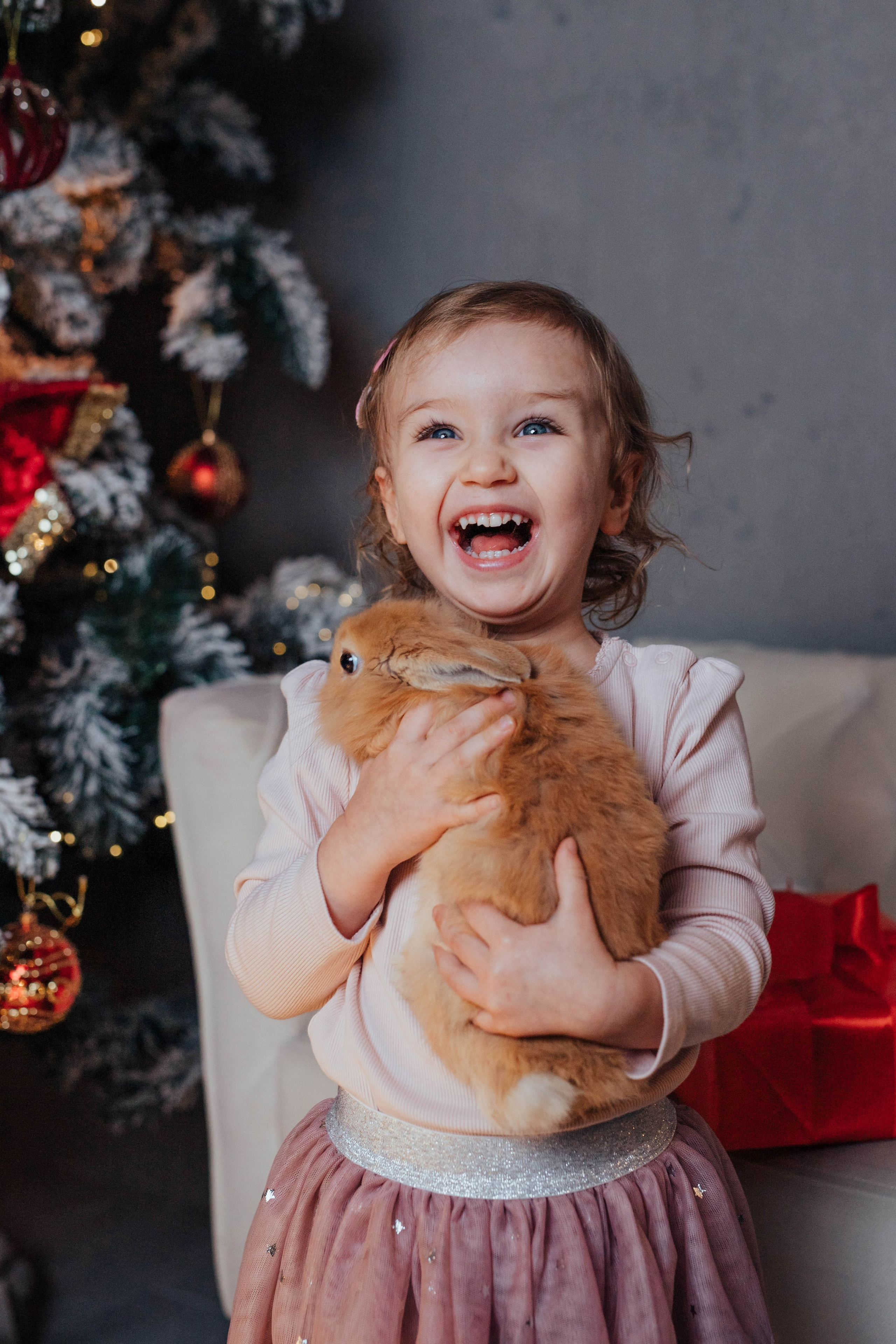 Новогодние фотосесии. Семейный фотограф в Обнинске Вера Весенняя