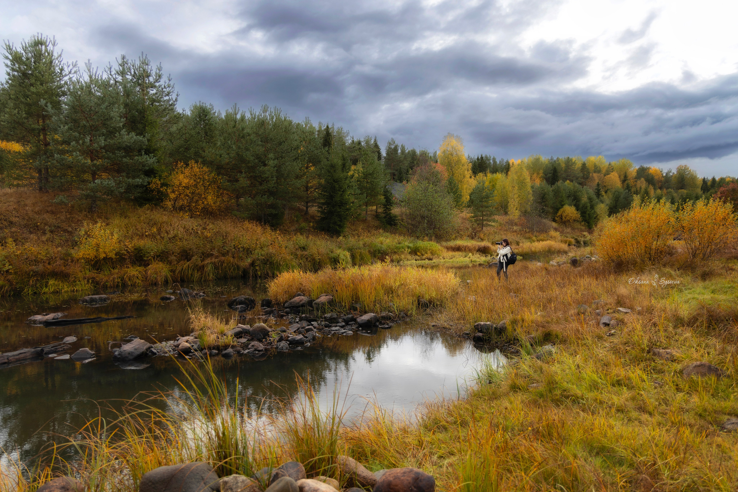 Вепсы. Sysoevaoksana