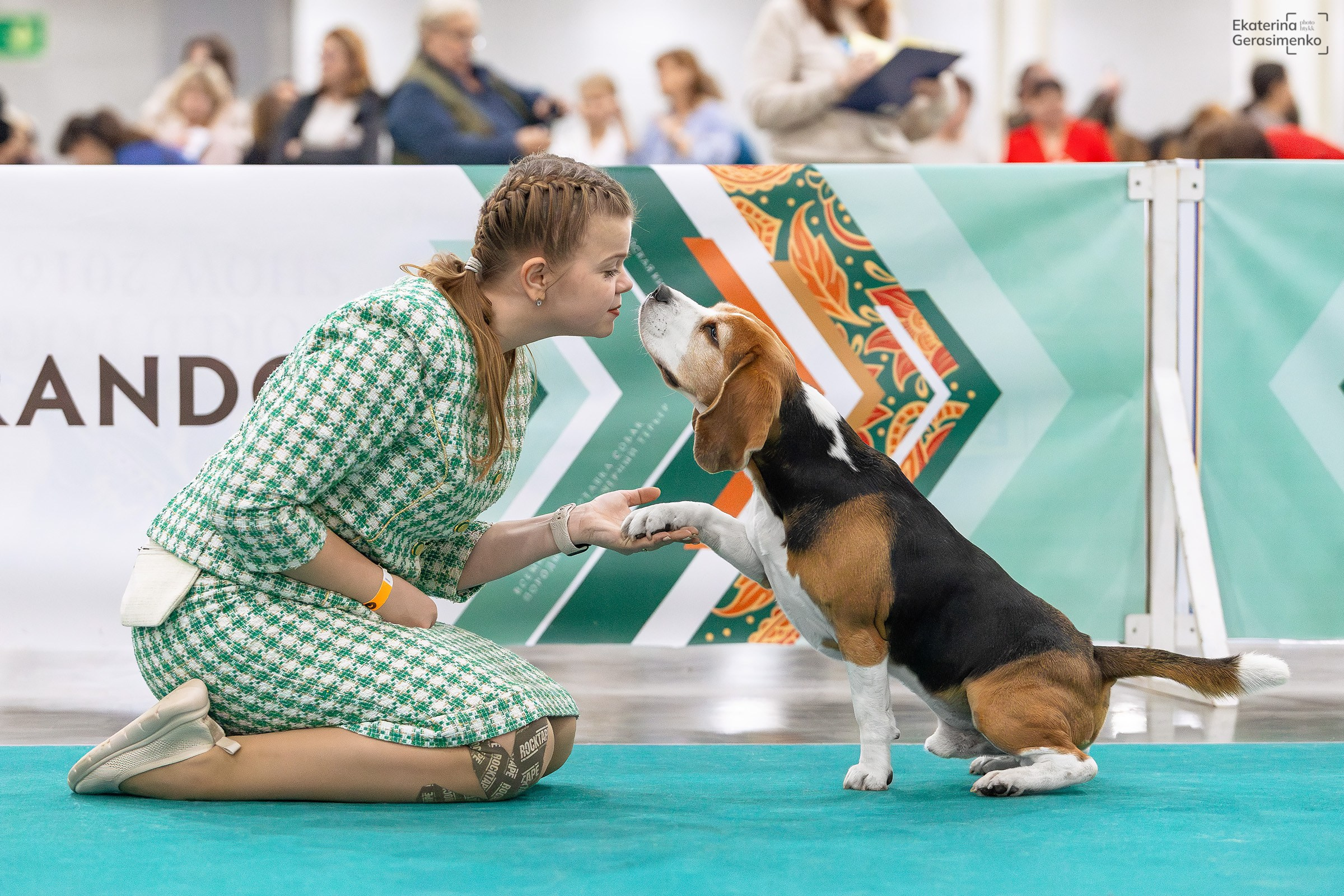 16–17 ноября 2024, Выставка ЕВРАЗИЯ, г. Москва. Htykk_photo