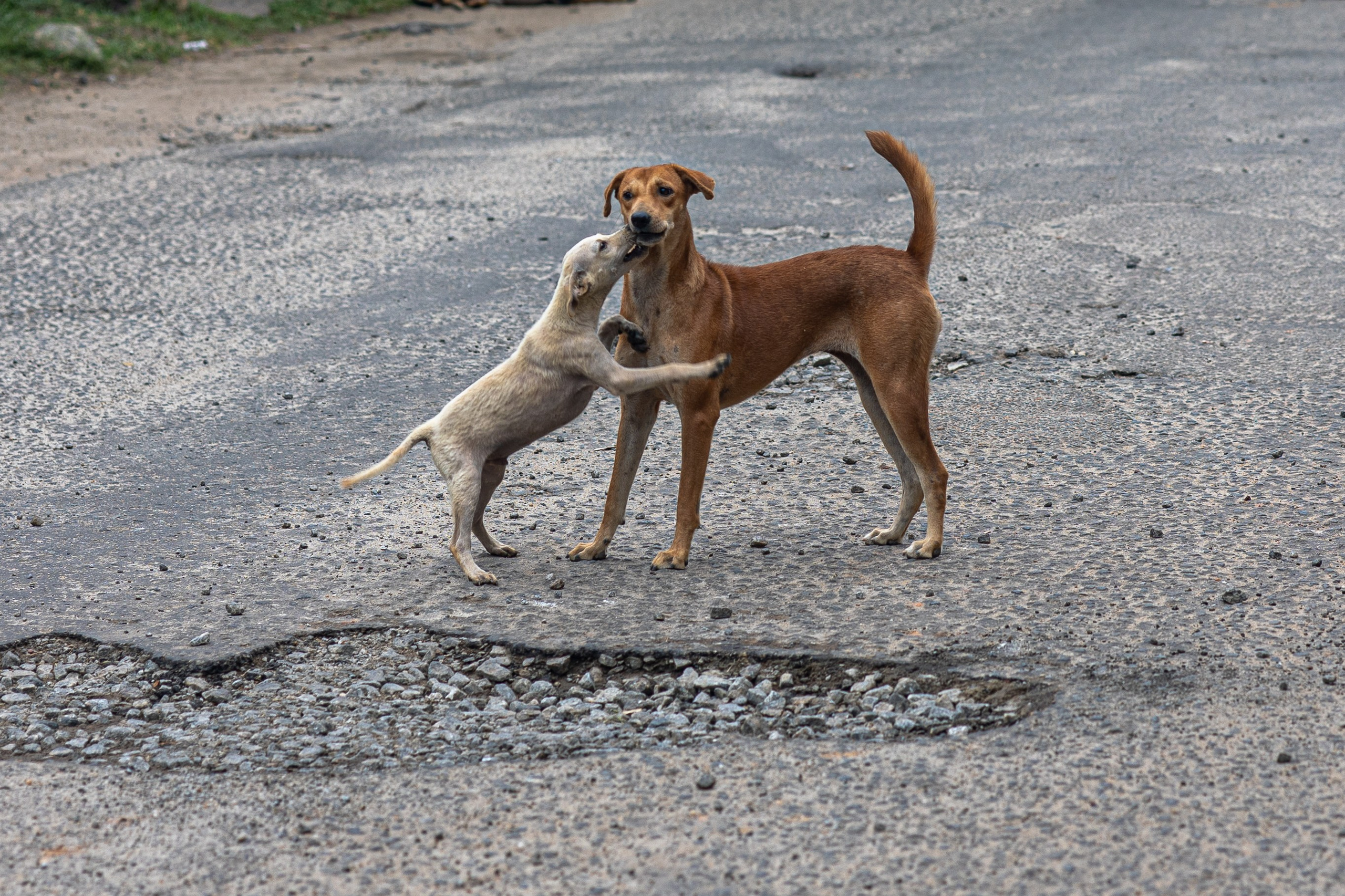 Weligama. Photographer Sonkina Tatiana (Tanya Ash)