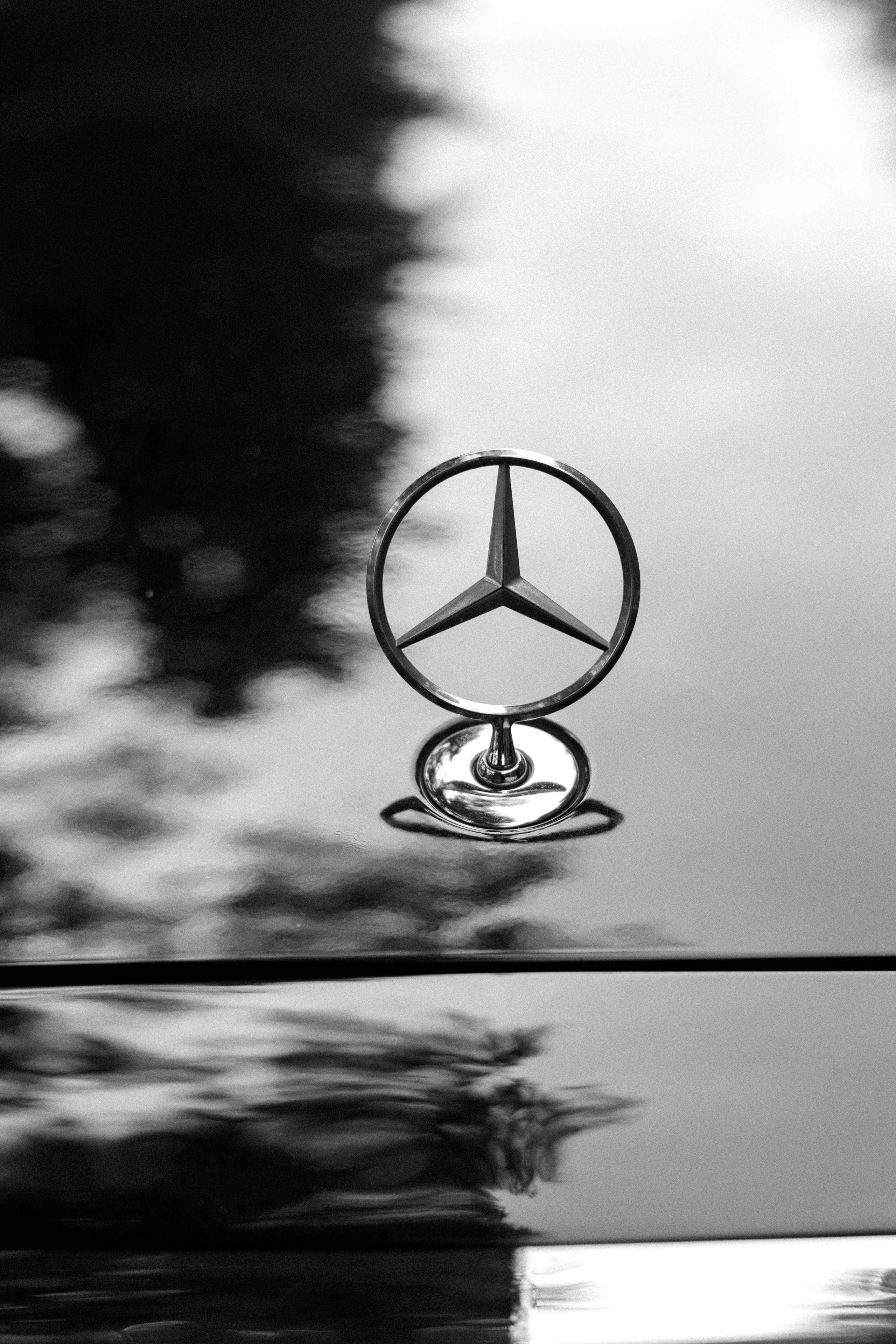 Глеб и Алина. Свадебный и семейный фотограф в Новосибирске Наталья Зорина