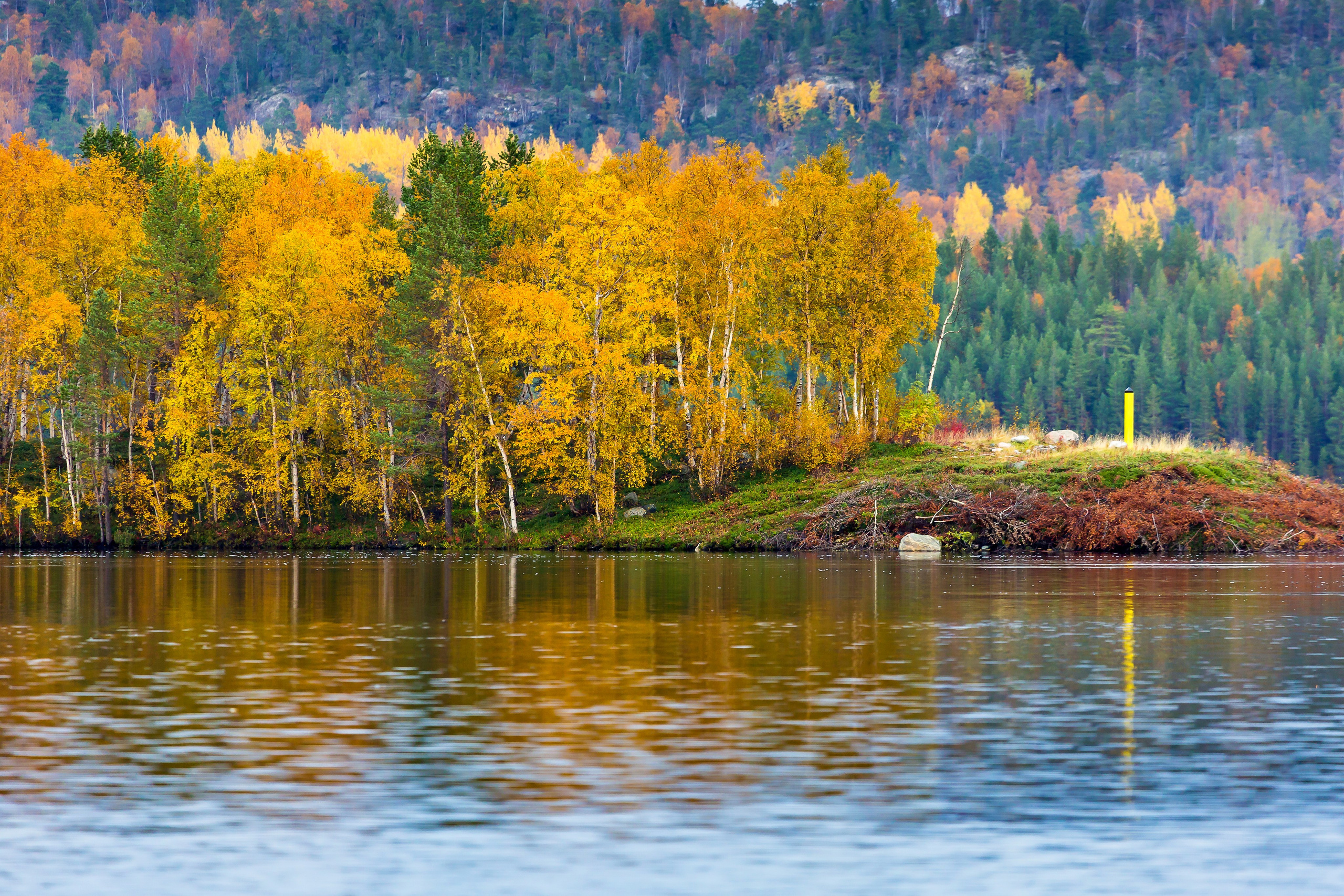 Река Паз. Пейзажи Крайнего Севера. Баренцево море, Рыбачий, Средний, Немецкий