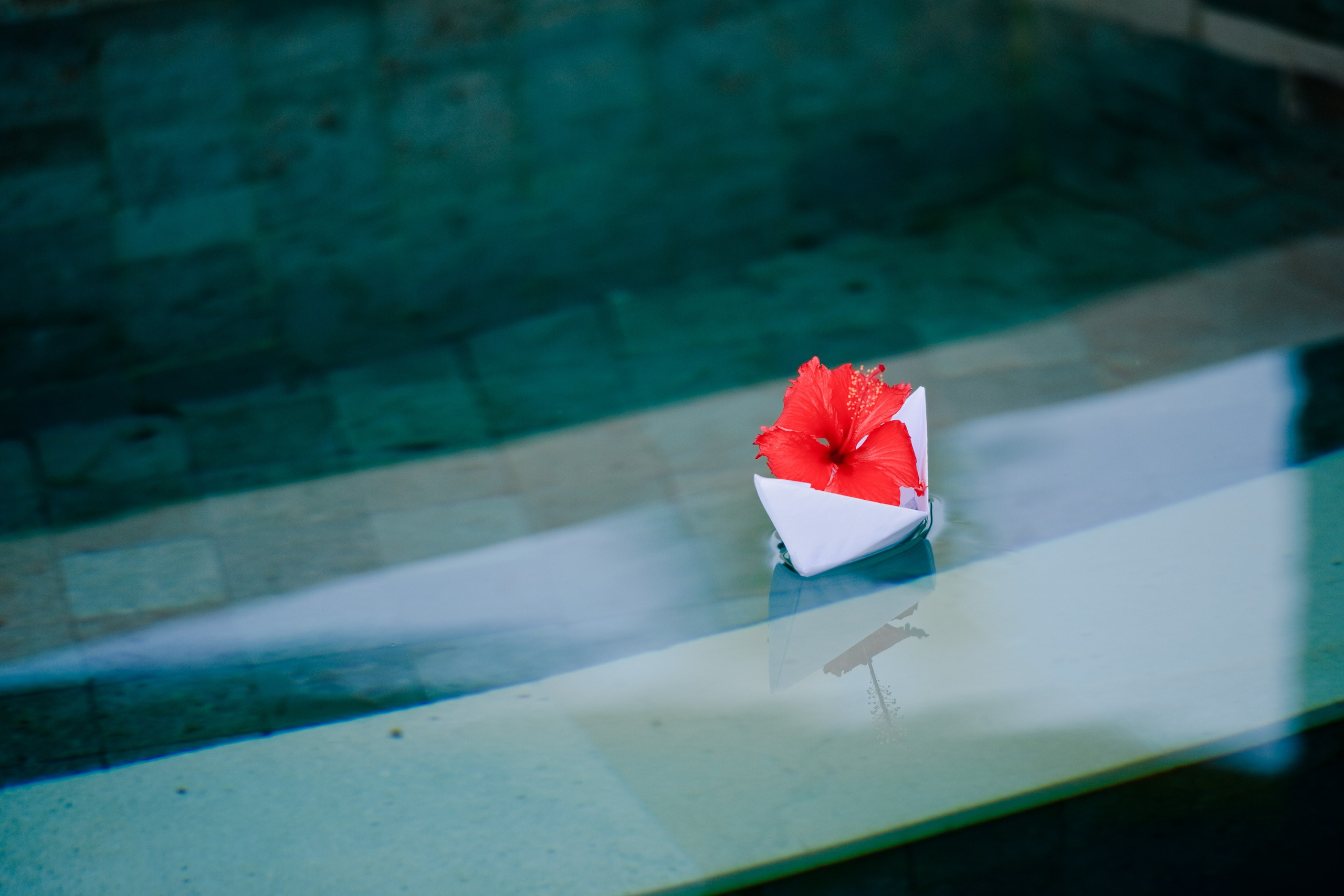 Анастасия и Алексей. Свадьба, Москва — Бали, Индонезия. Семейный фотограф Анна Дубовская