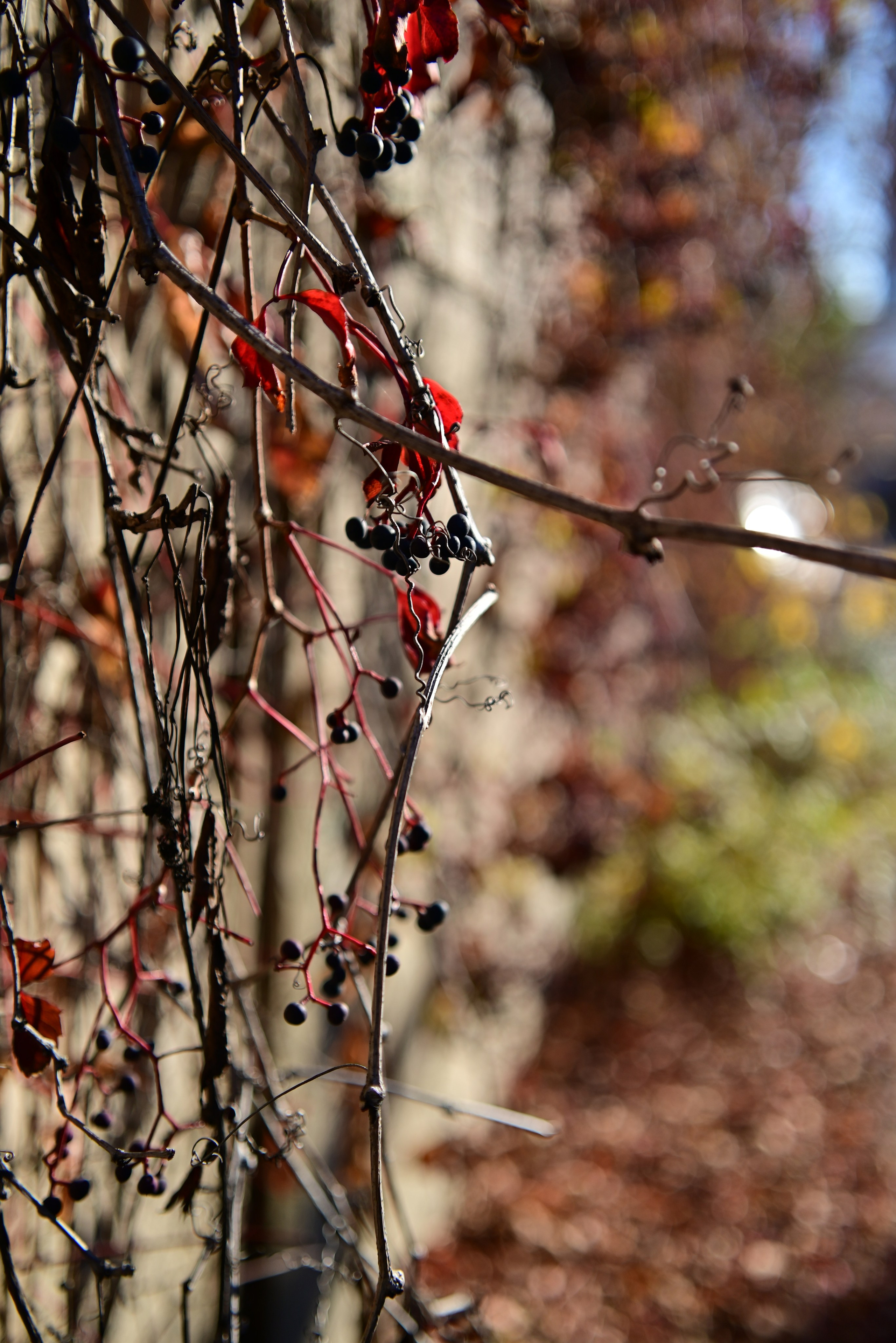 Осень в Самаре 2025. Фотосъёмка праздничных мероприятий, портретная съёмка в Самаре, Пётр Бубняев