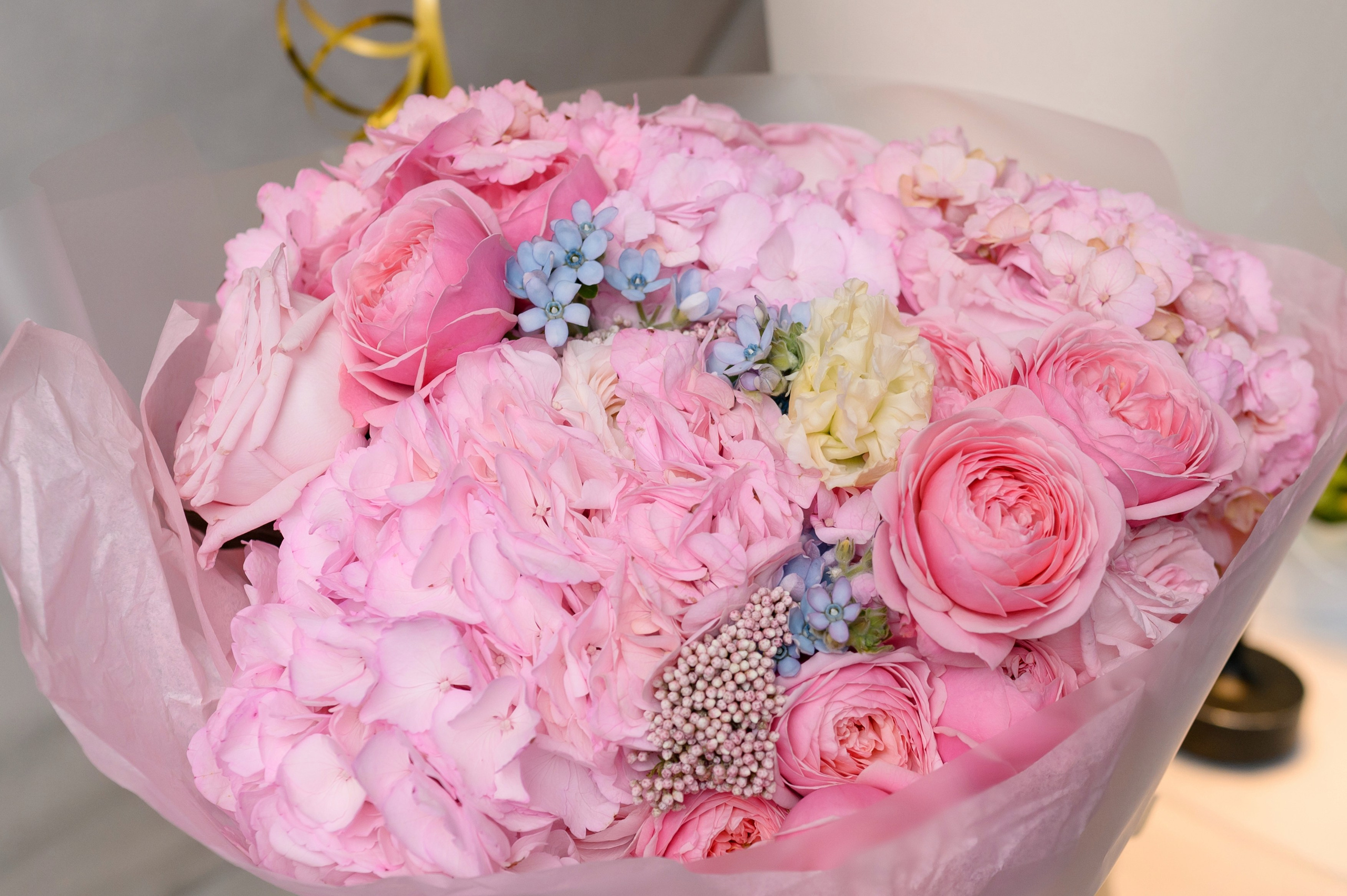 День Рождения. Главная