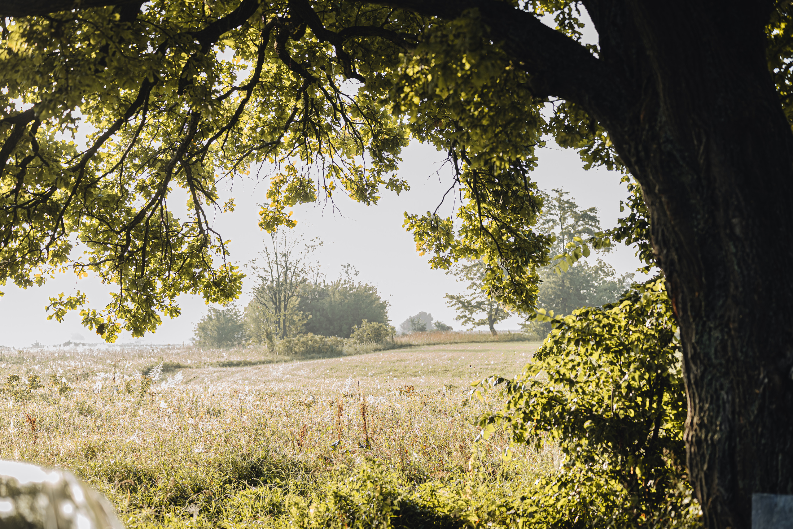 Вятская природа. Семейный фотограф Ира Шашова Санкт-Петербург