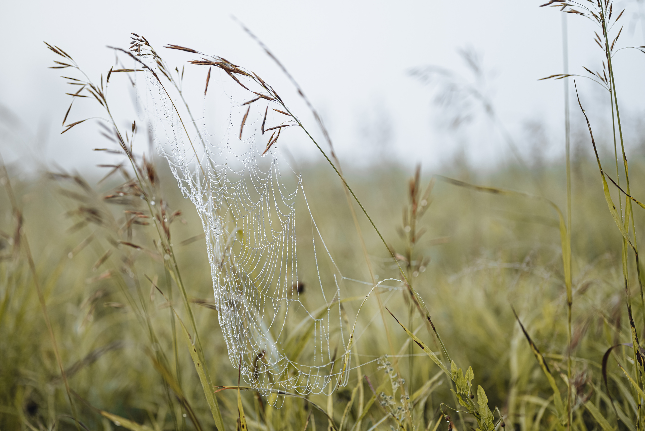 Вятская природа. Семейный фотограф Ира Шашова Санкт-Петербург