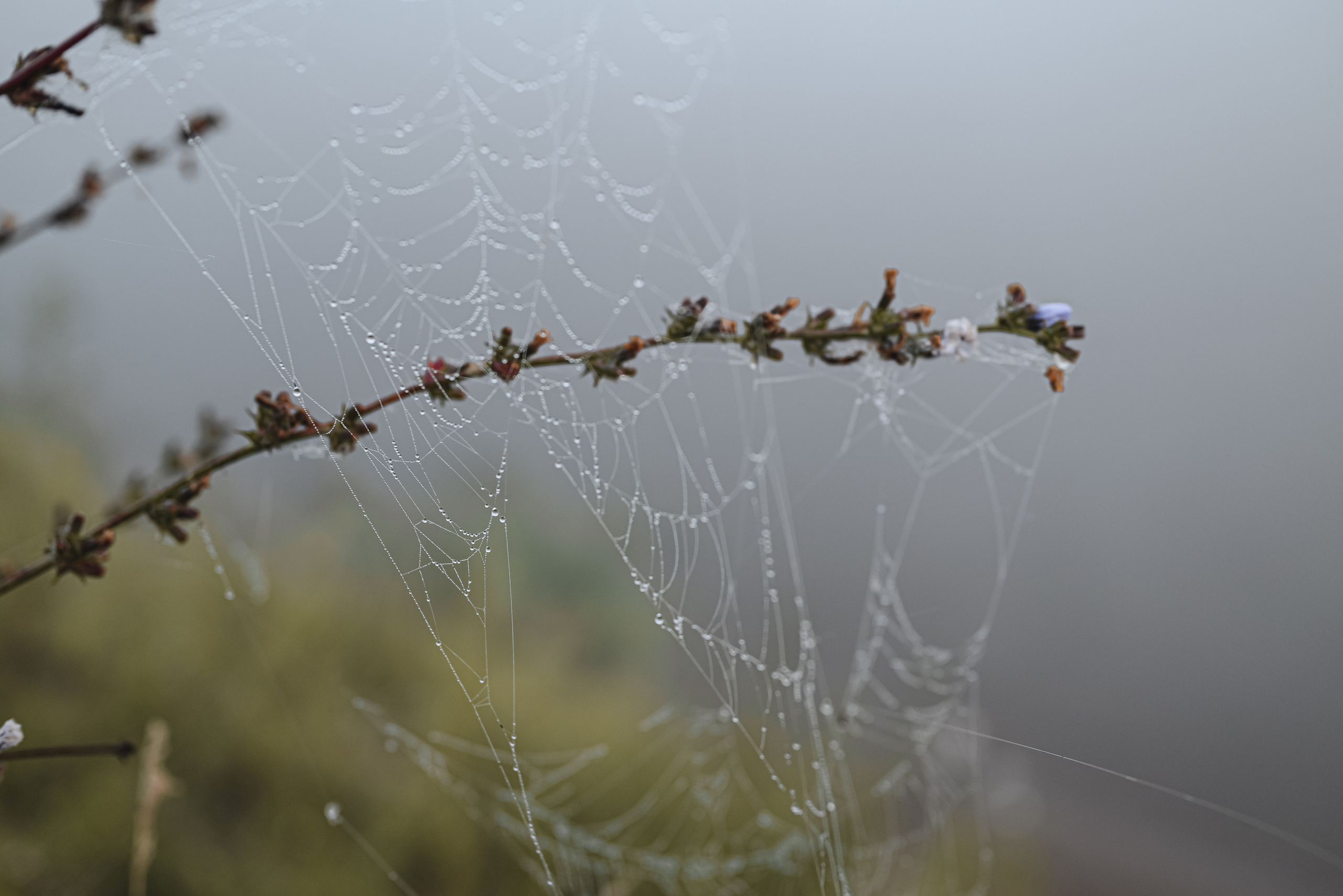 Вятская природа. Семейный фотограф Ира Шашова Санкт-Петербург