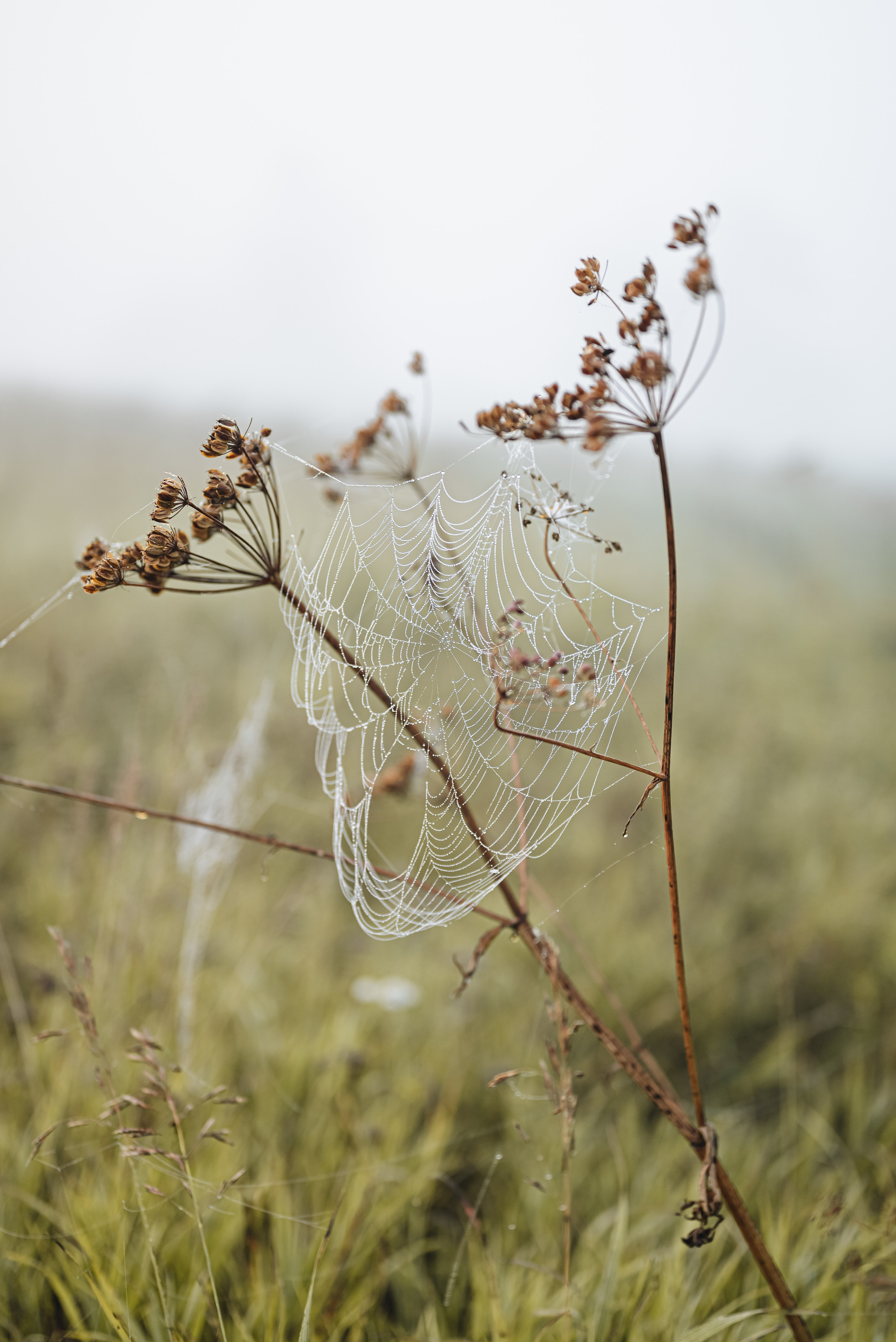 Вятская природа. Семейный фотограф Ира Шашова Санкт-Петербург