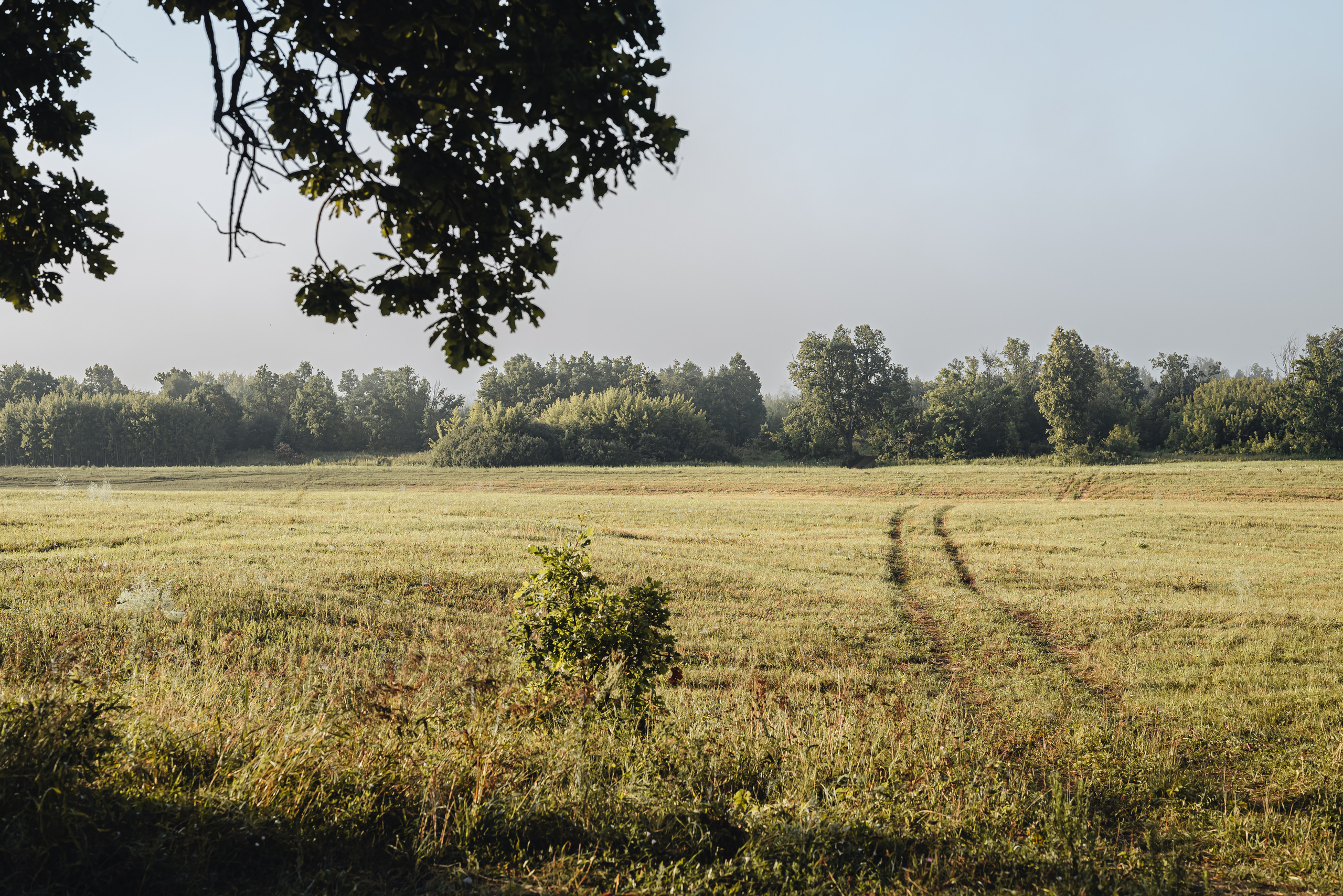 Вятская природа. Семейный фотограф Ира Шашова Санкт-Петербург