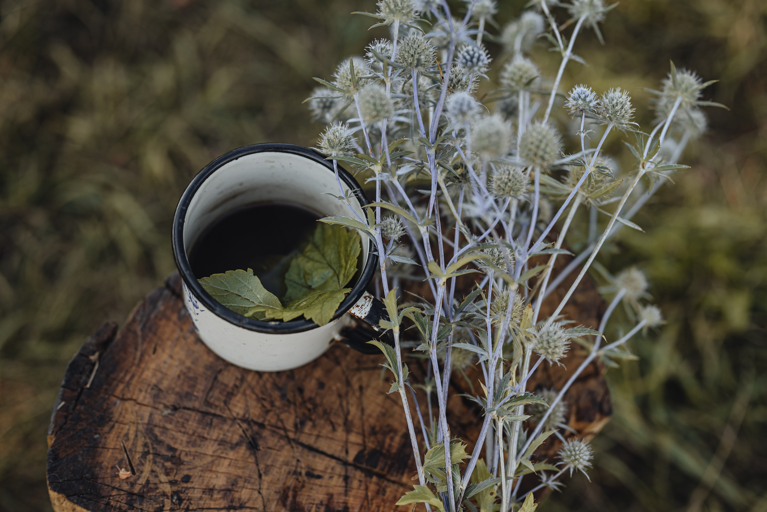 Вятская природа. Семейный фотограф Ира Шашова Санкт-Петербург