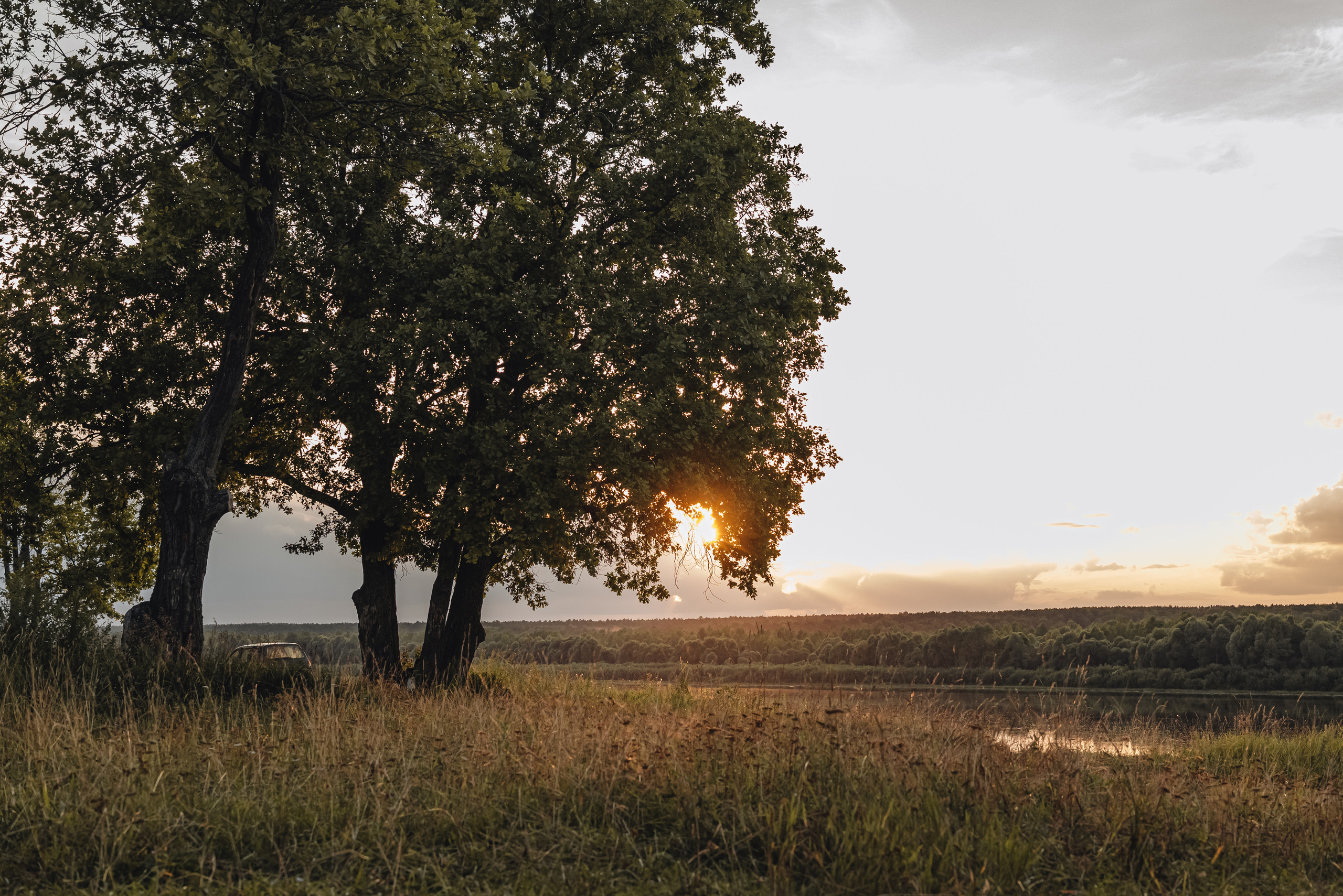 Вятская природа. Семейный фотограф Ира Шашова Санкт-Петербург