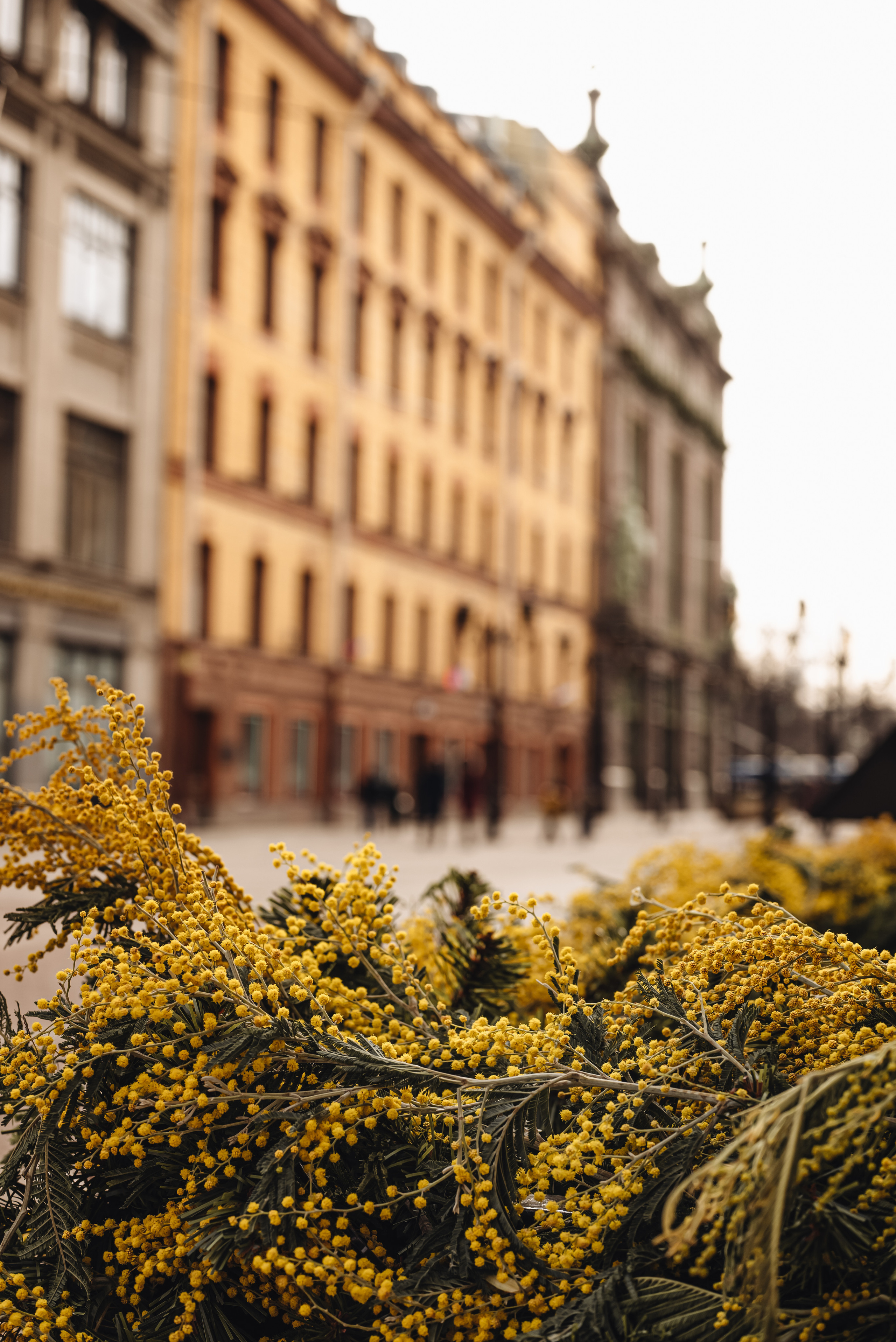 Зарисовки города. Семейный фотограф Ира Шашова Санкт-Петербург