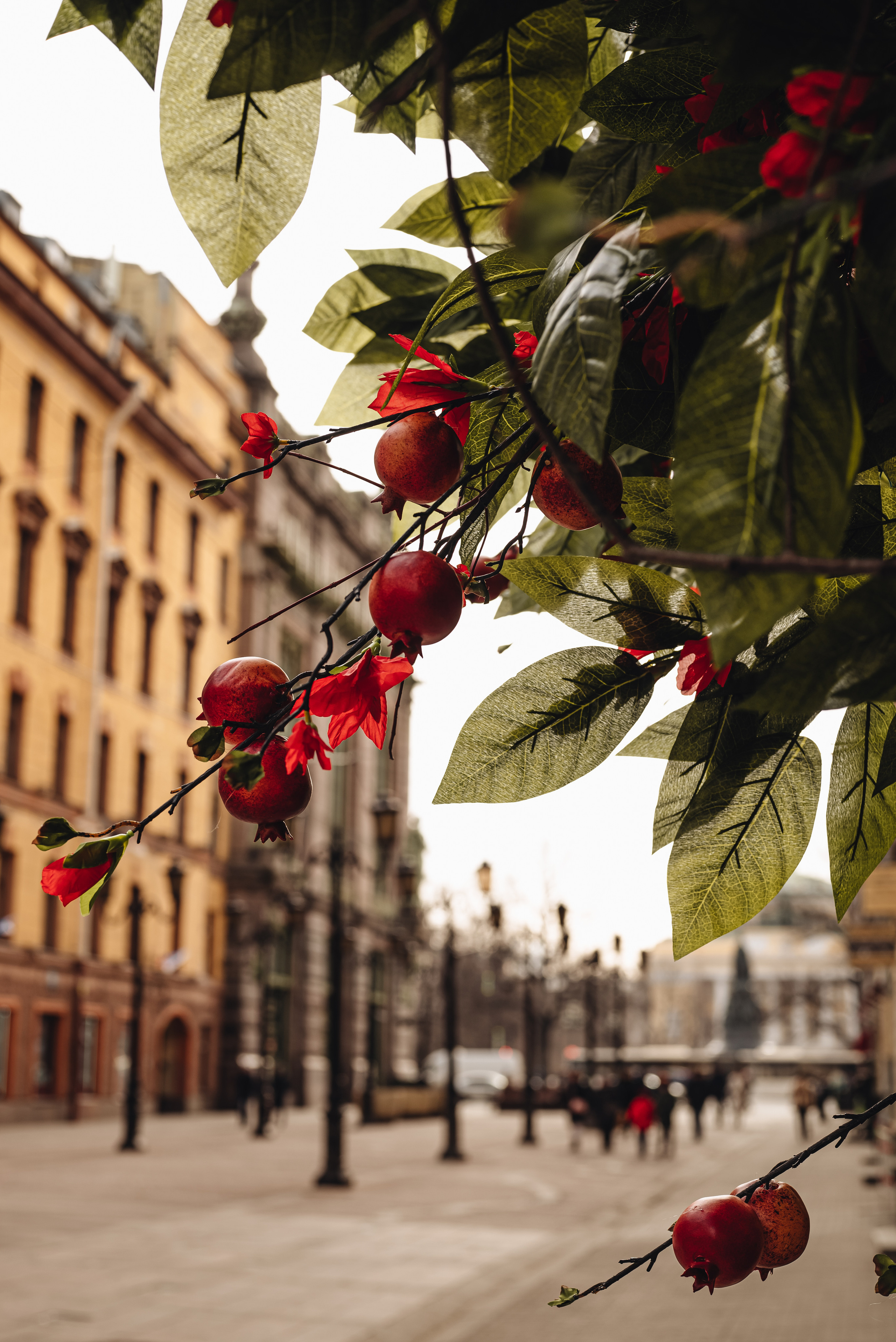 Зарисовки города. Семейный фотограф Ира Шашова Санкт-Петербург