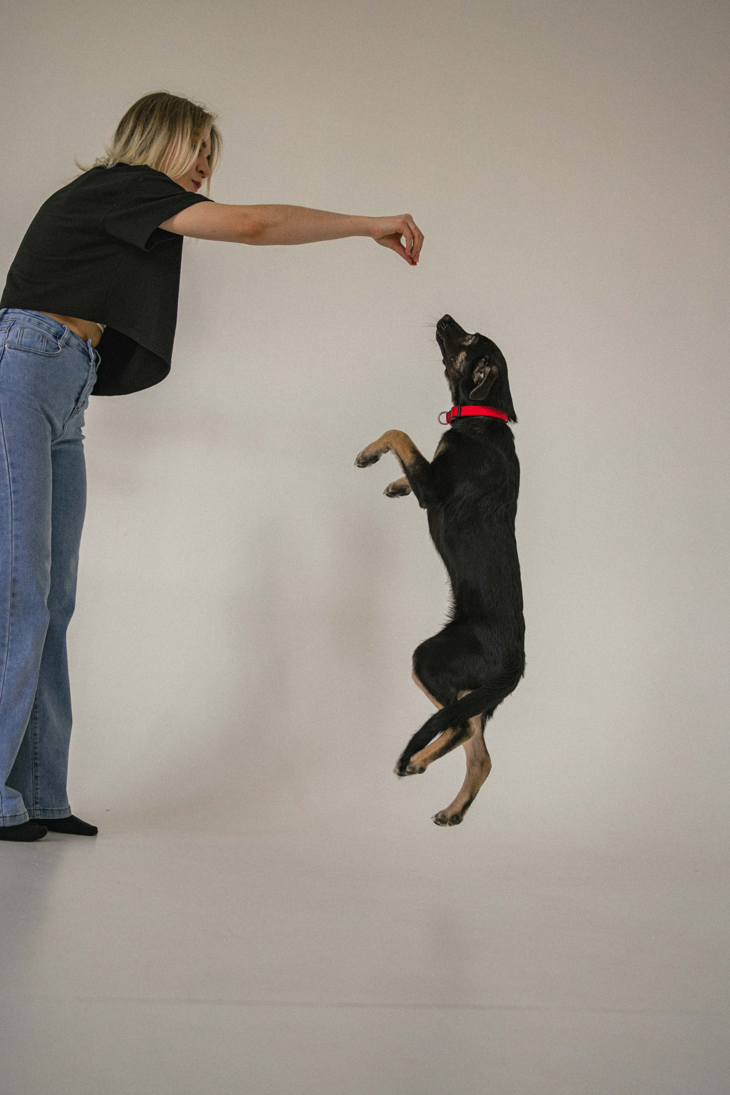 Крис и Тэдди. Фотограф-анималист в Москве Лера Черноног