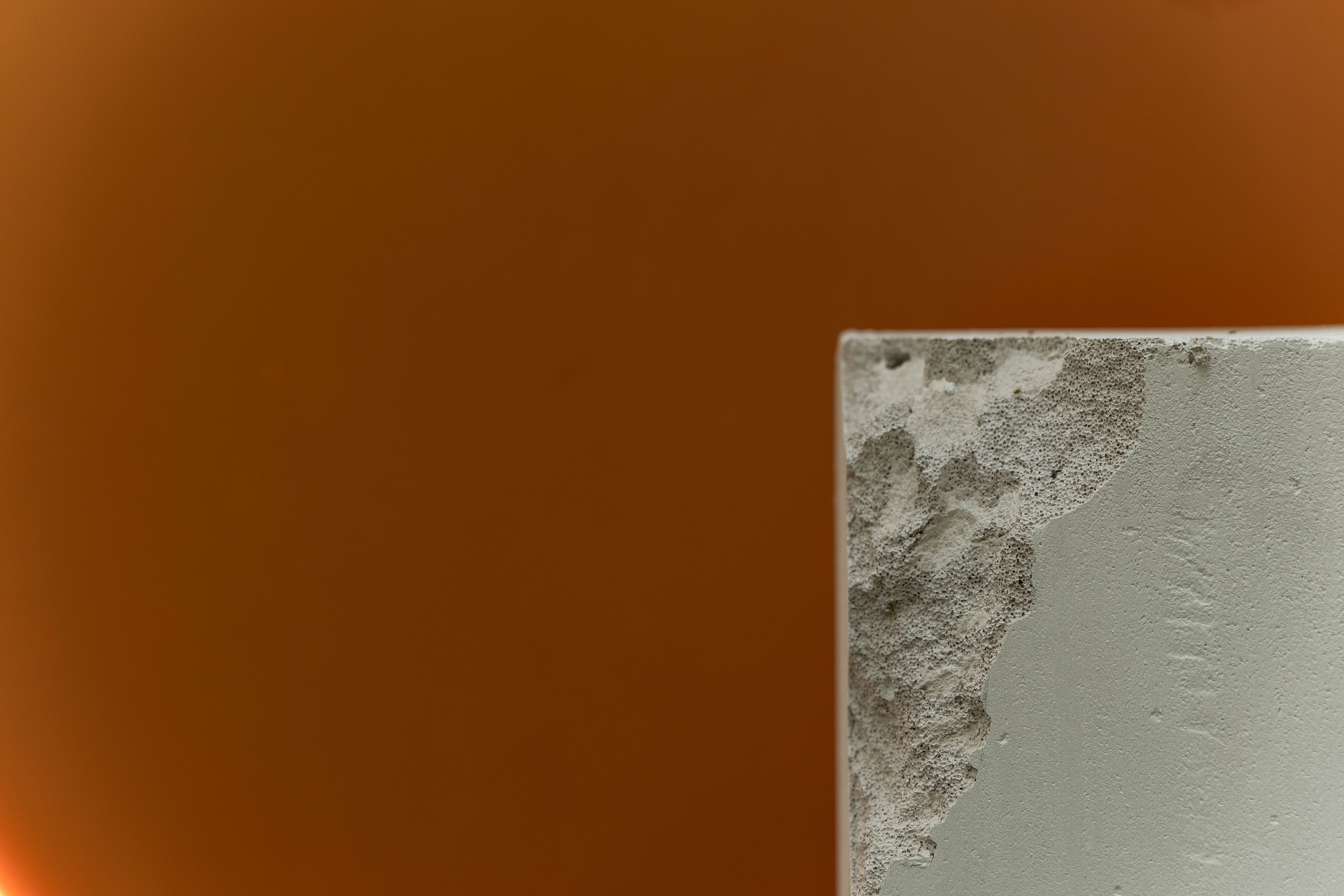 RODION | OLGA. Главная