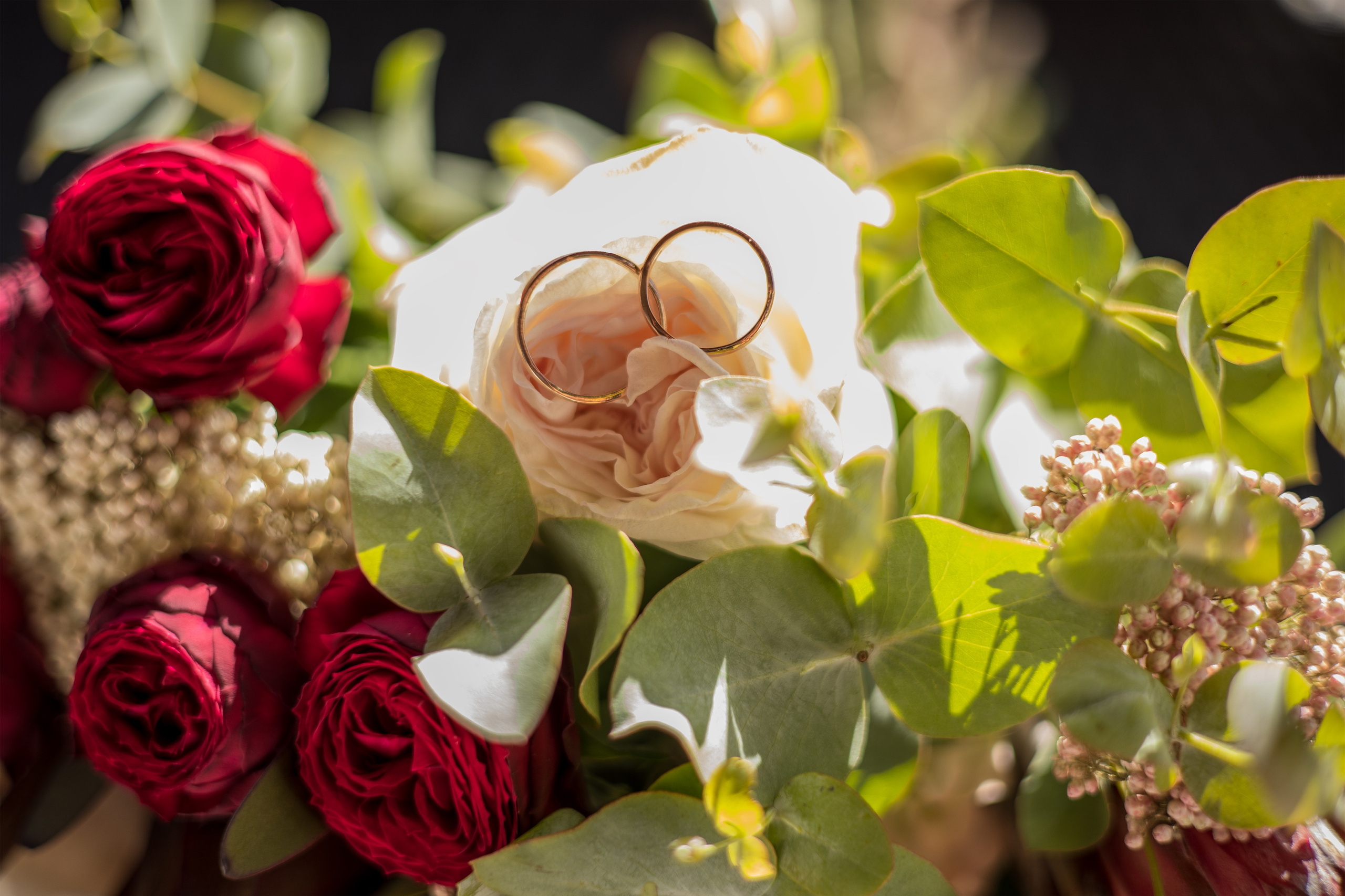 Артур и Алина. Свадебный и семейный фотограф в Абхазии Эля Цишба