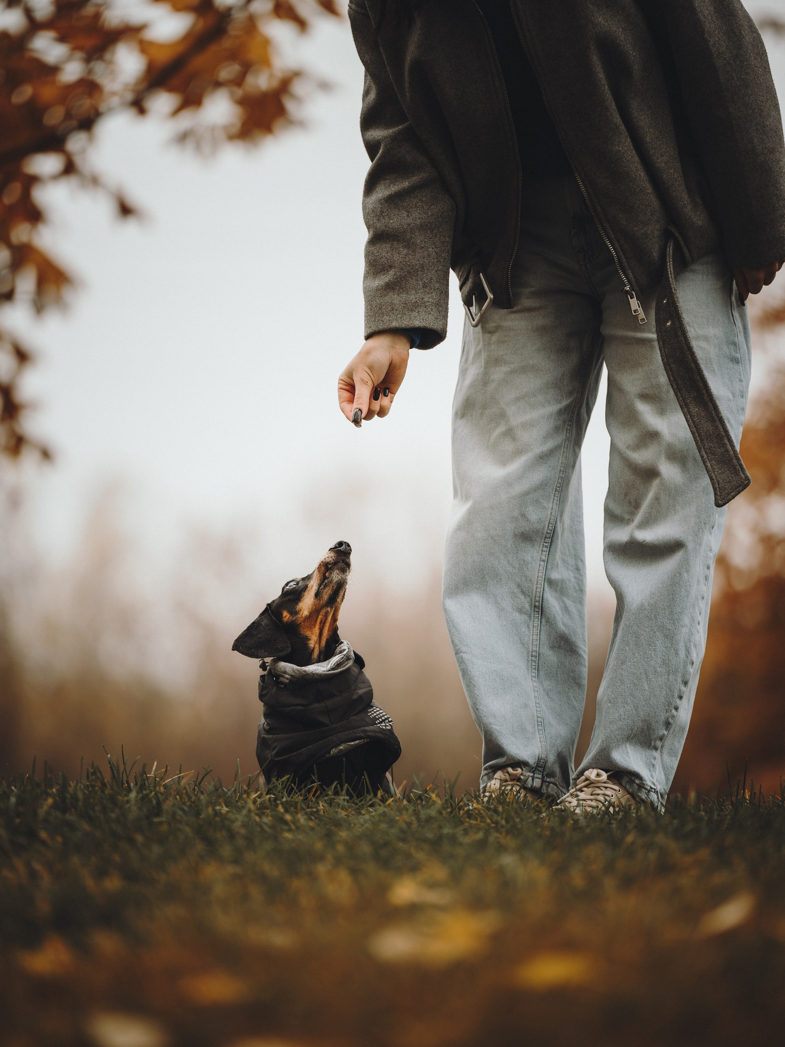 Аня, Оскар и Яр. Семейный фотограф анималист Ананьева Мария — Москва