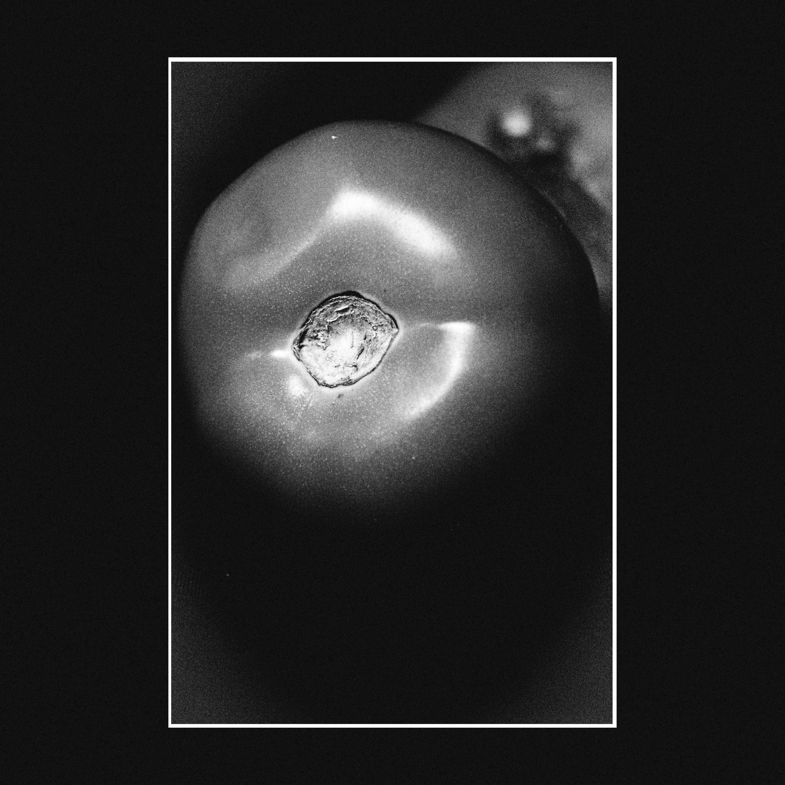 AI — artist | Documentary Photographer St. Petersburg, Milan