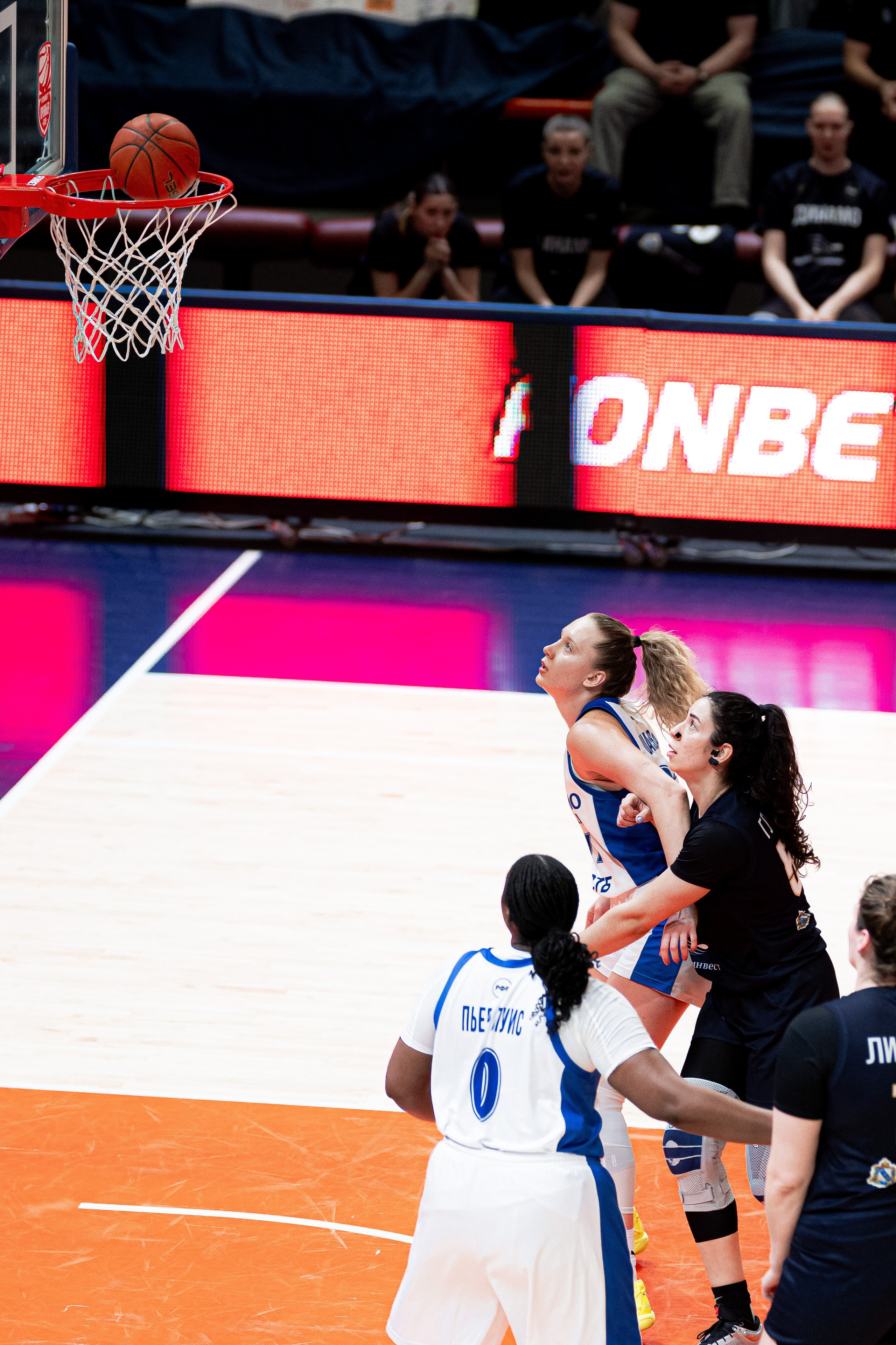 Women’s basketball / Dynamo Moscow — Dynamo Kyrsk. Фотограф Кирилл Сафонов