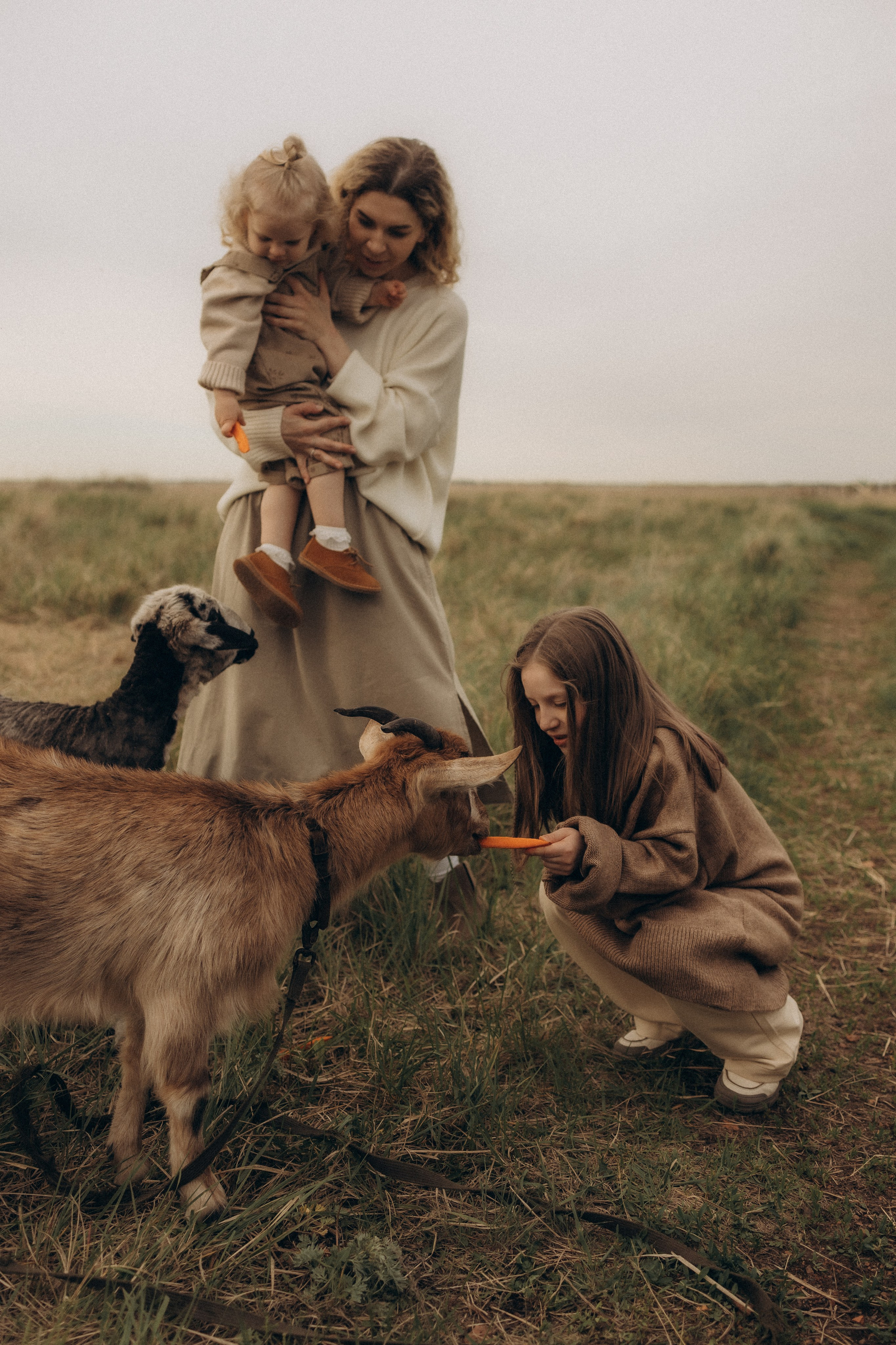 Семейная в поле. Эльвира Галимьянова — семейный фотограф Екатеринбурга