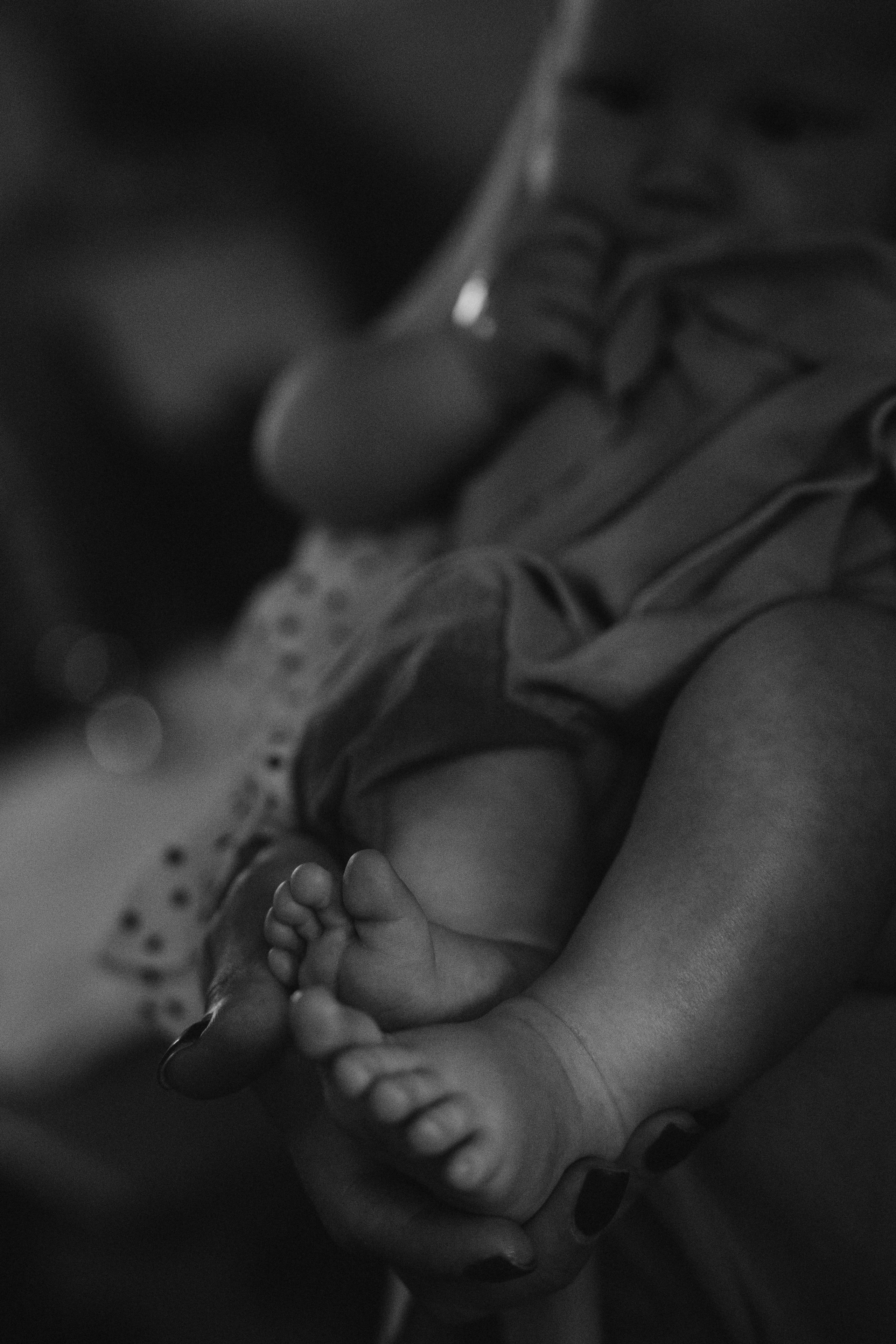 Тимофей. Аплас Анастасия