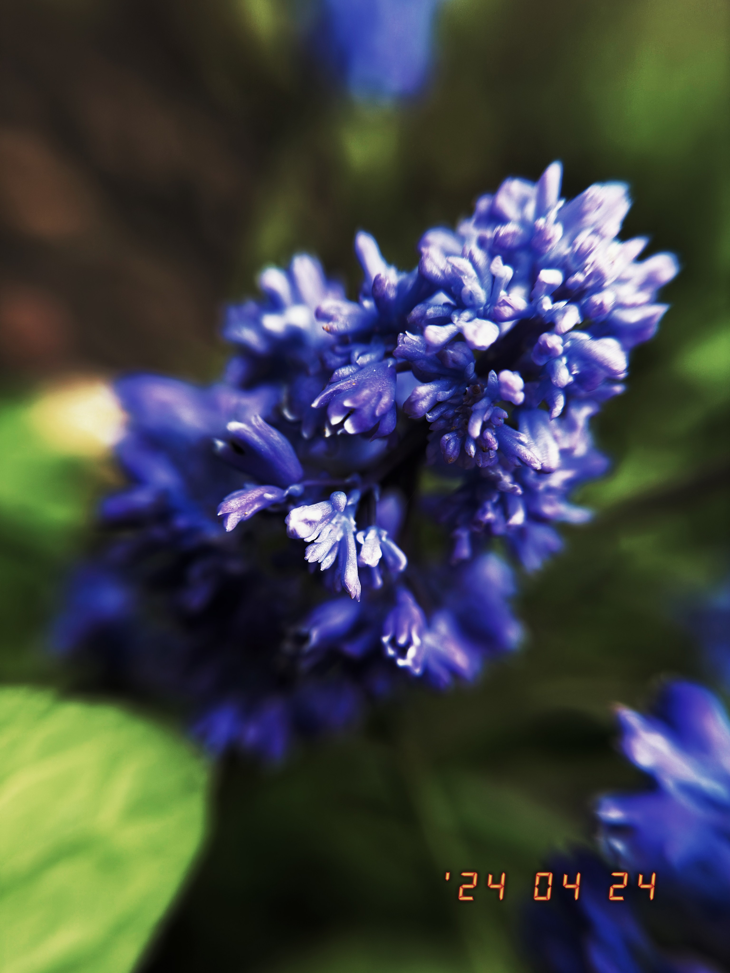 Макро любовь. Смотри, красота!