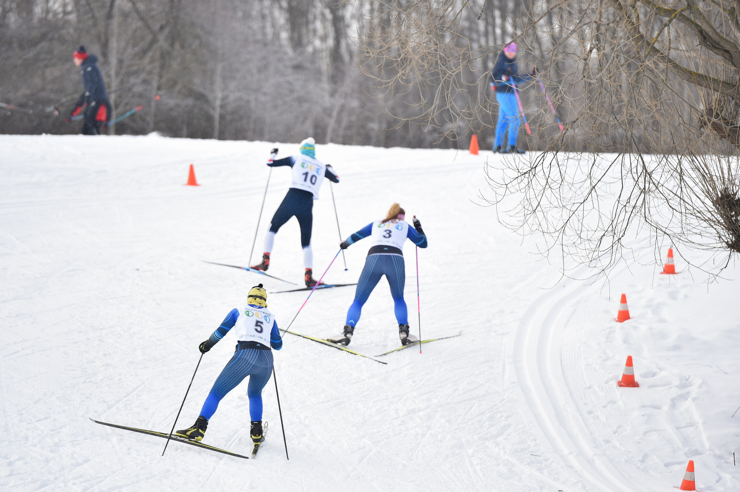 Лыжные гонки. Альфа-Битца. Репортажный и свадебный фотограф в Москве