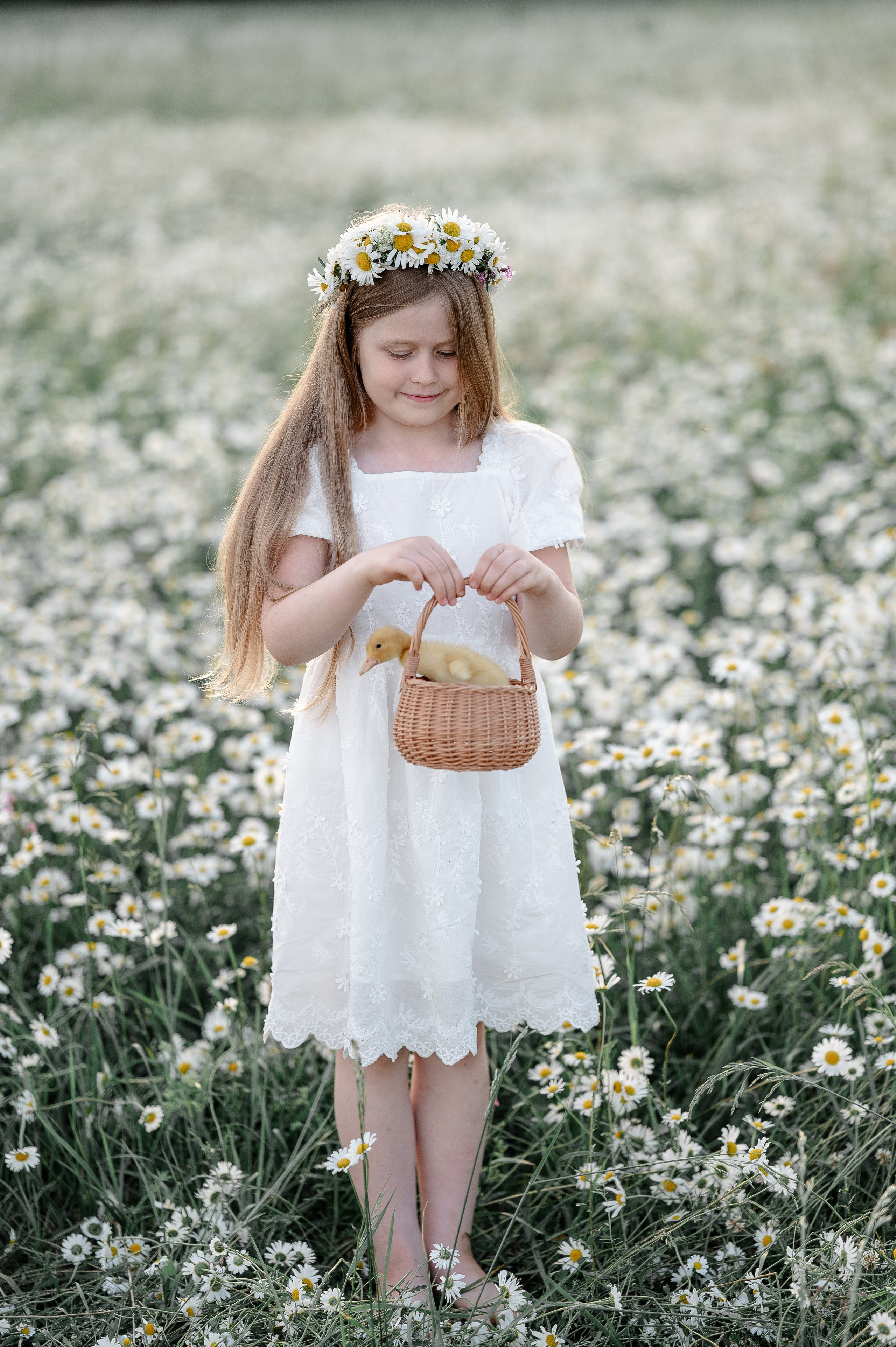Поле ромашек. Фотограф Москва Екатерина Постникова Индивидуальные и семейные съемки