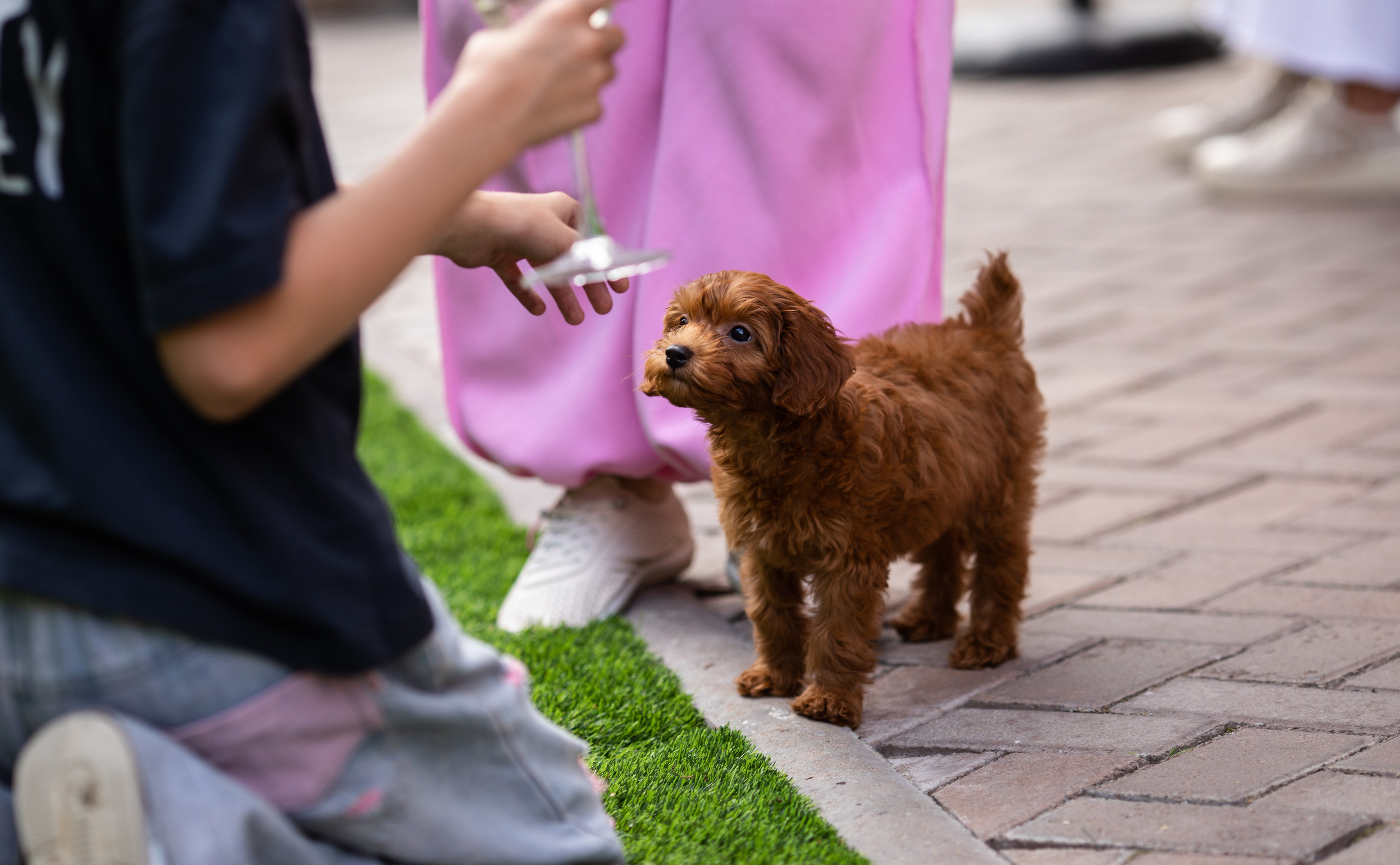 День Рождения Егорки -2025. VoronEvent. Репортажный и свадебный фотограф в Челябинске Елисеев Павел