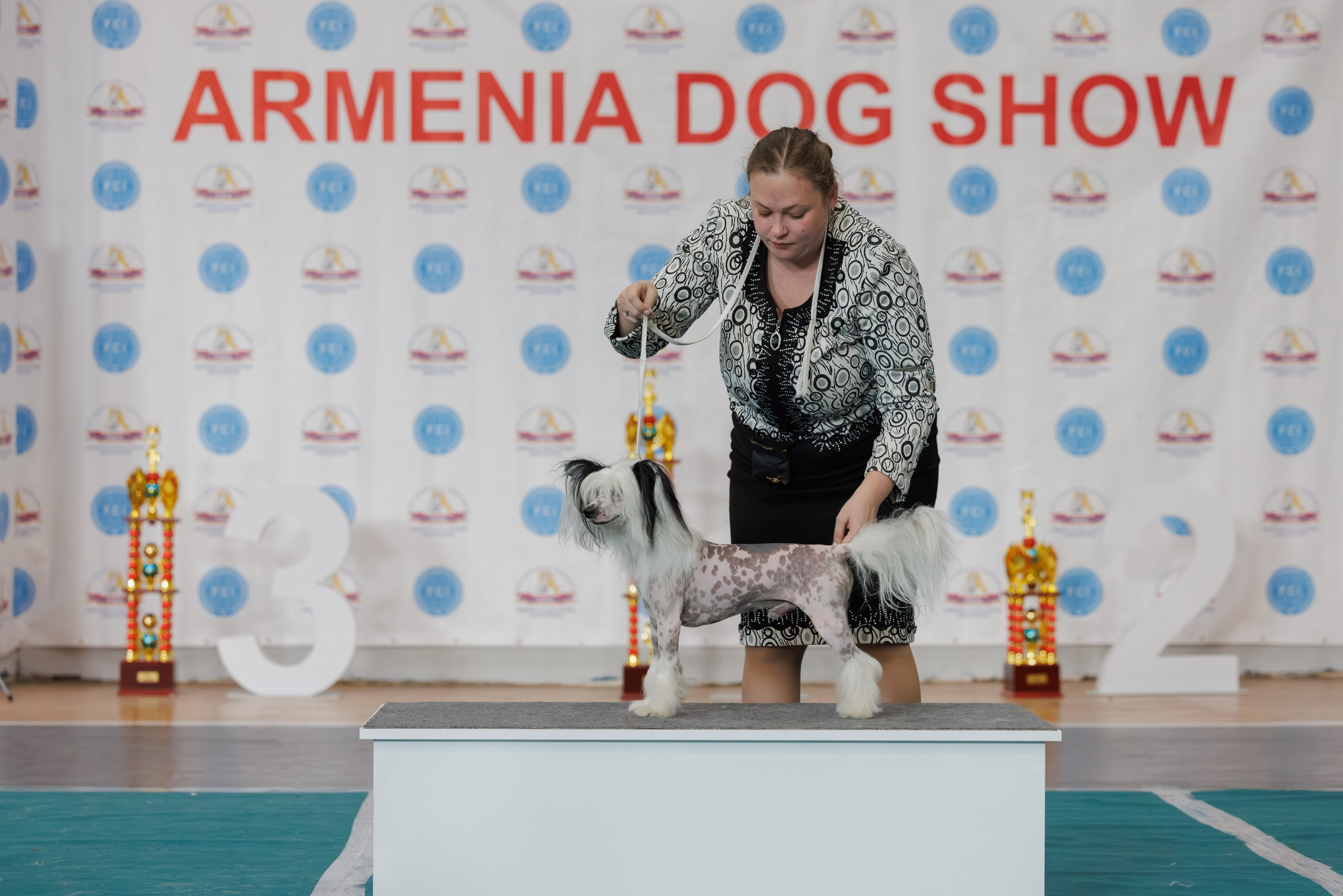 Ереван 2х CACIB 29-30.04.2025. Фотограф-анималист Юлия Германика