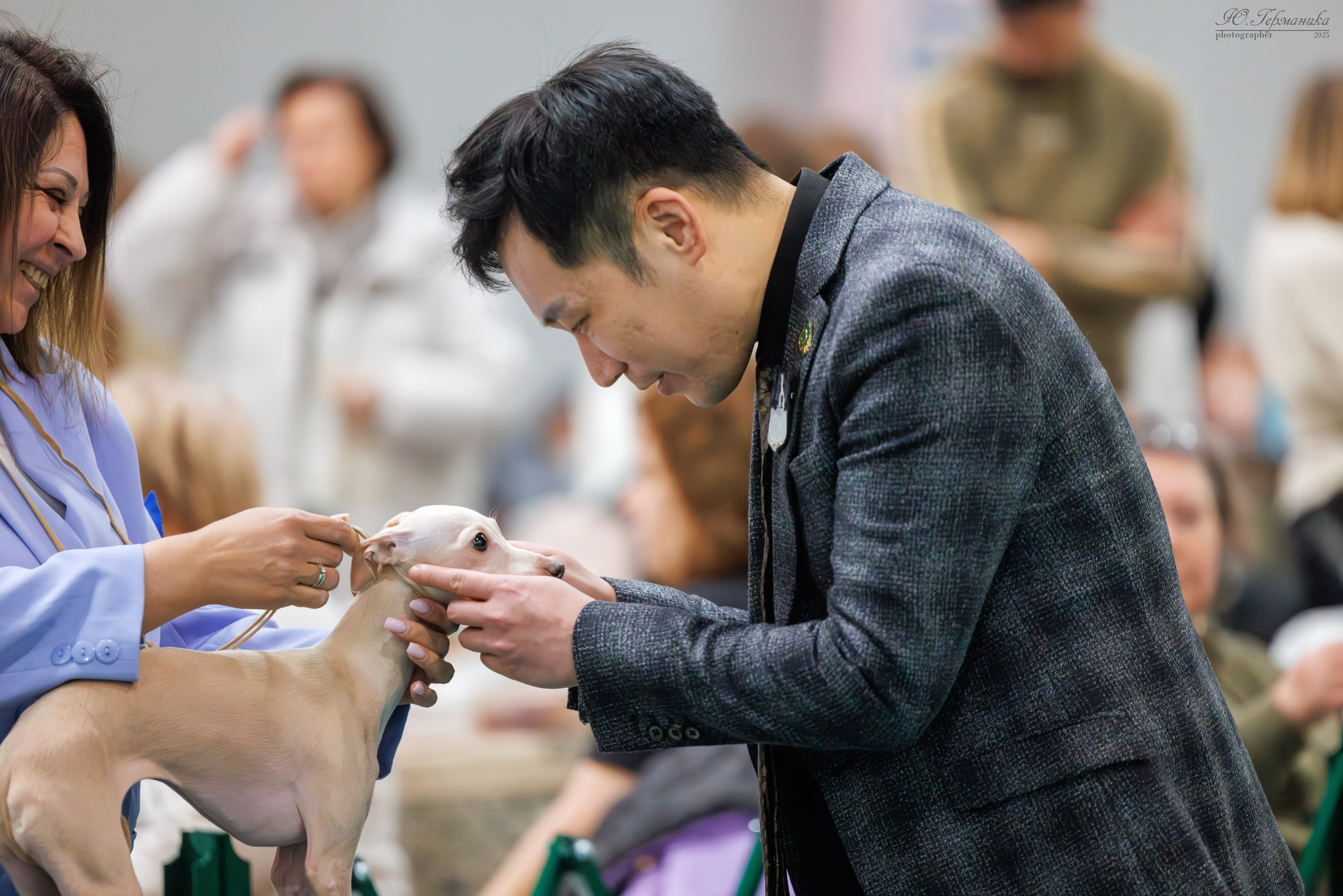Гран-При 8.02.2025 и Крокус 09.02.2025. Фотограф-анималист Юлия Германика