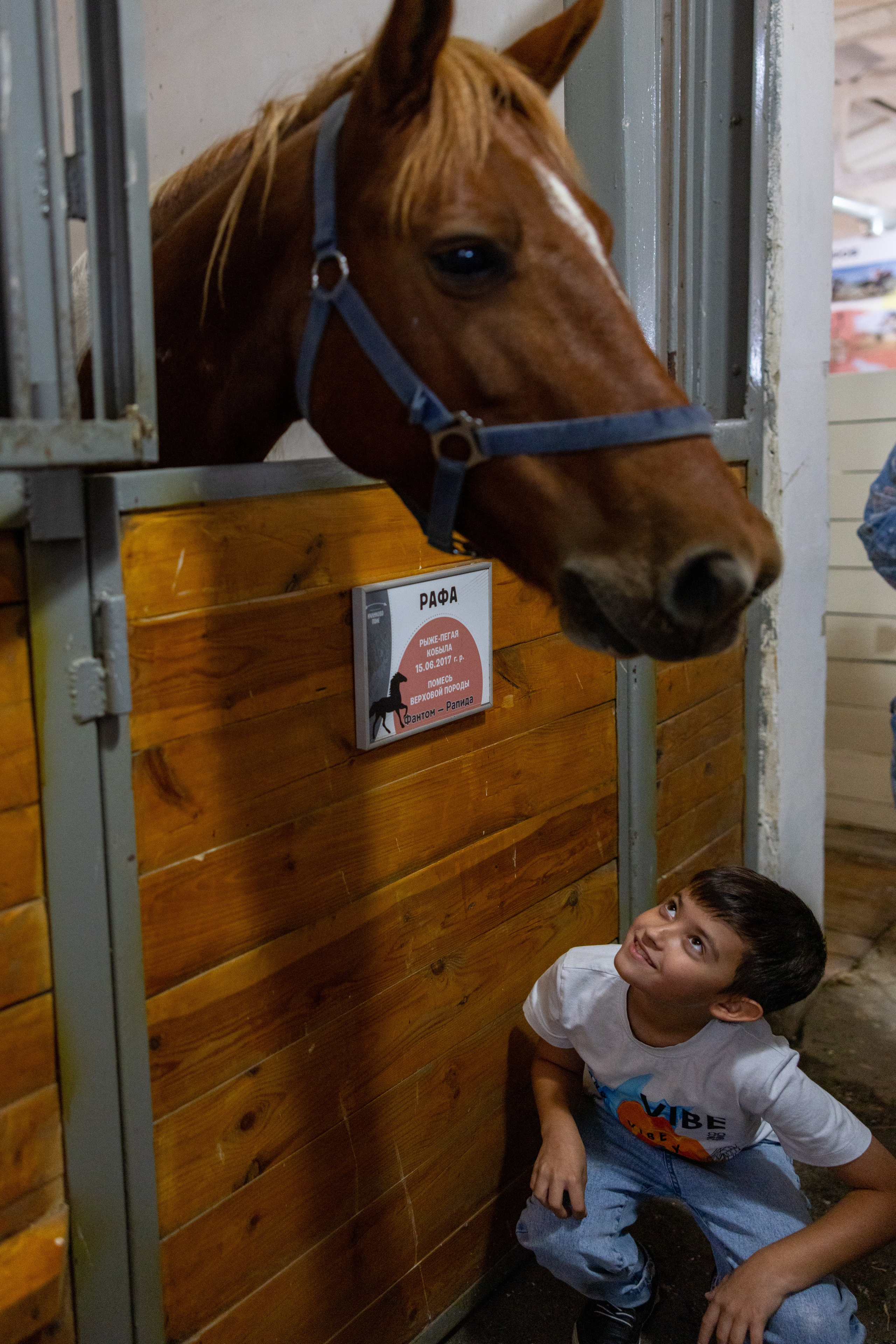 Поездка на поле Кулеково. Фотограф в Туле Крупский АнДРей. Фотостудия «КАДР71» в Туле