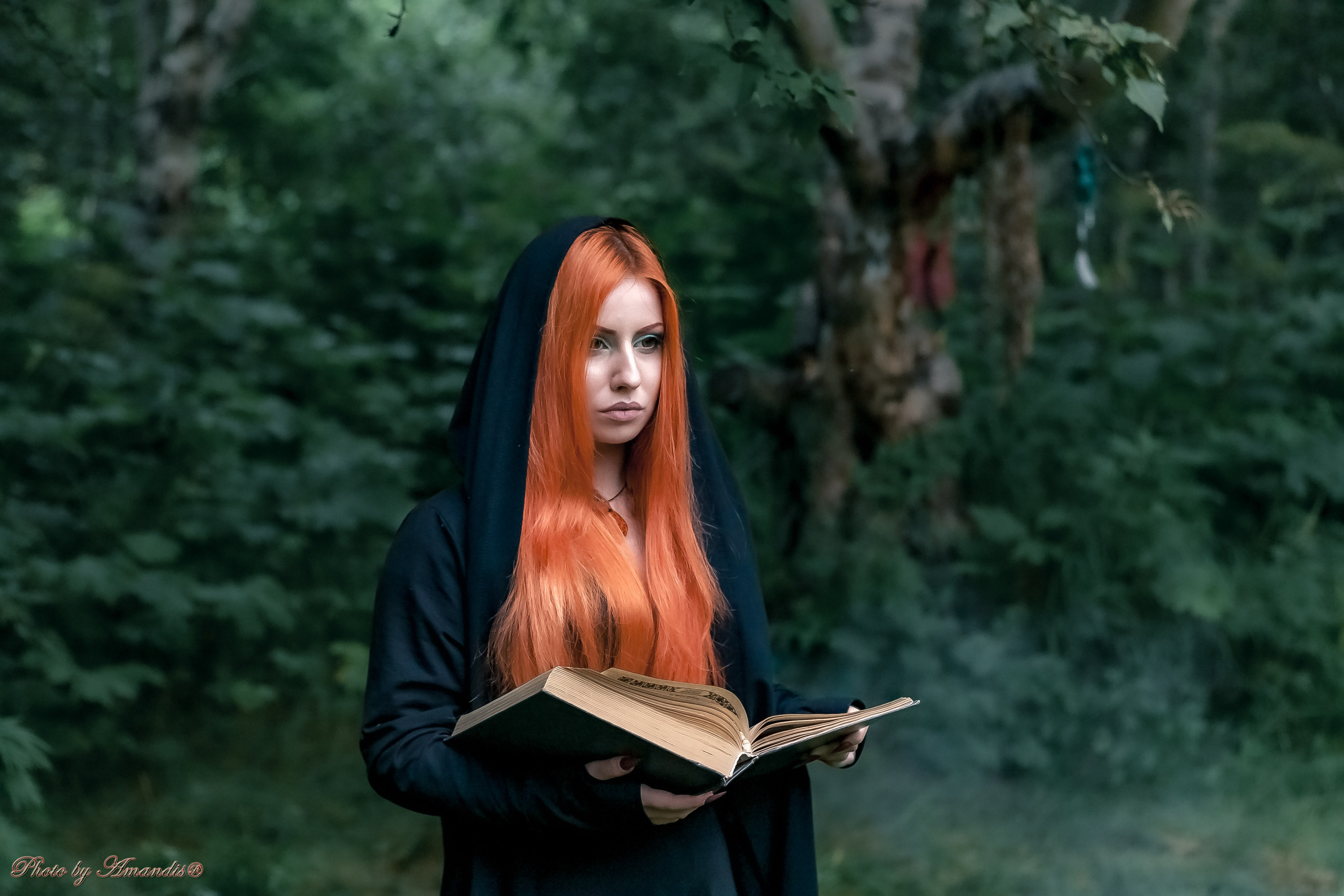 The witches. Репортажная съемка в Москве и области. Анималистика
